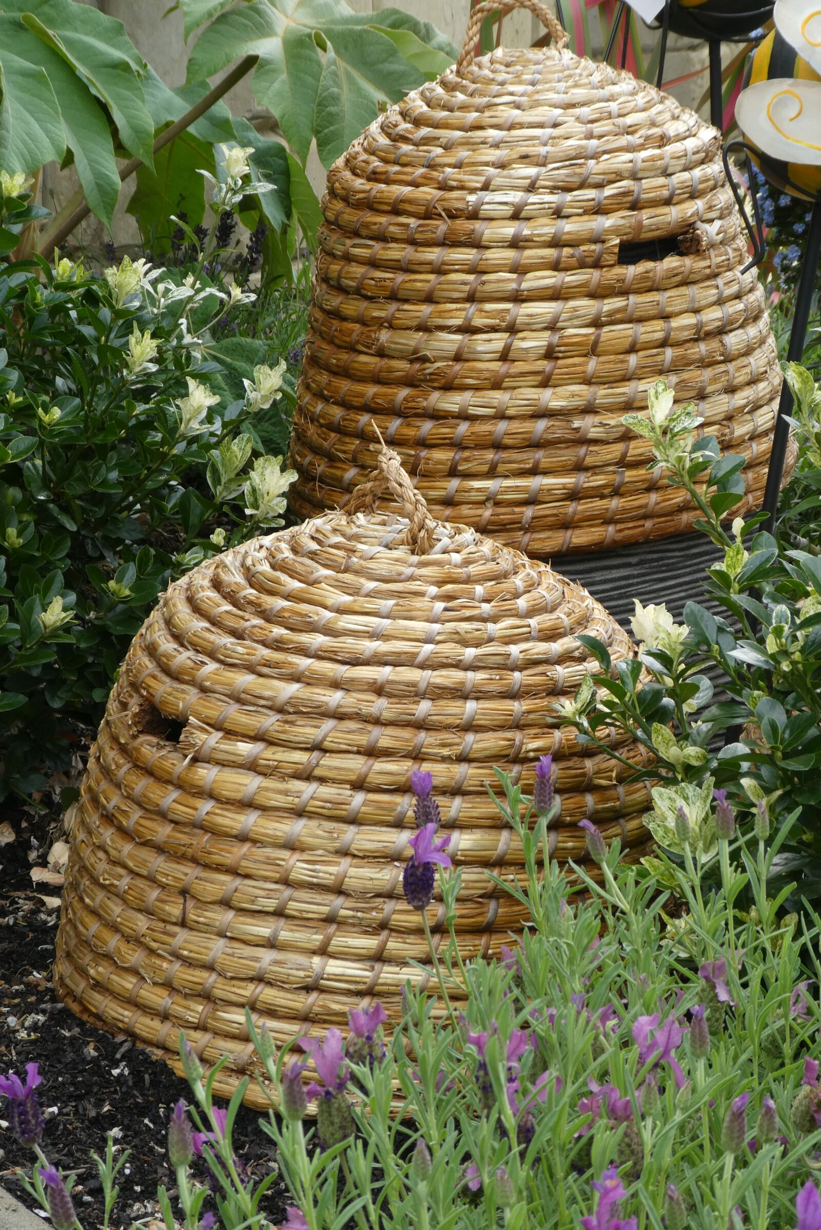 Panasonic Lumix DC-ZS70 (Lumix DC-TZ90) sample photo. Beehive, bees, garden photography