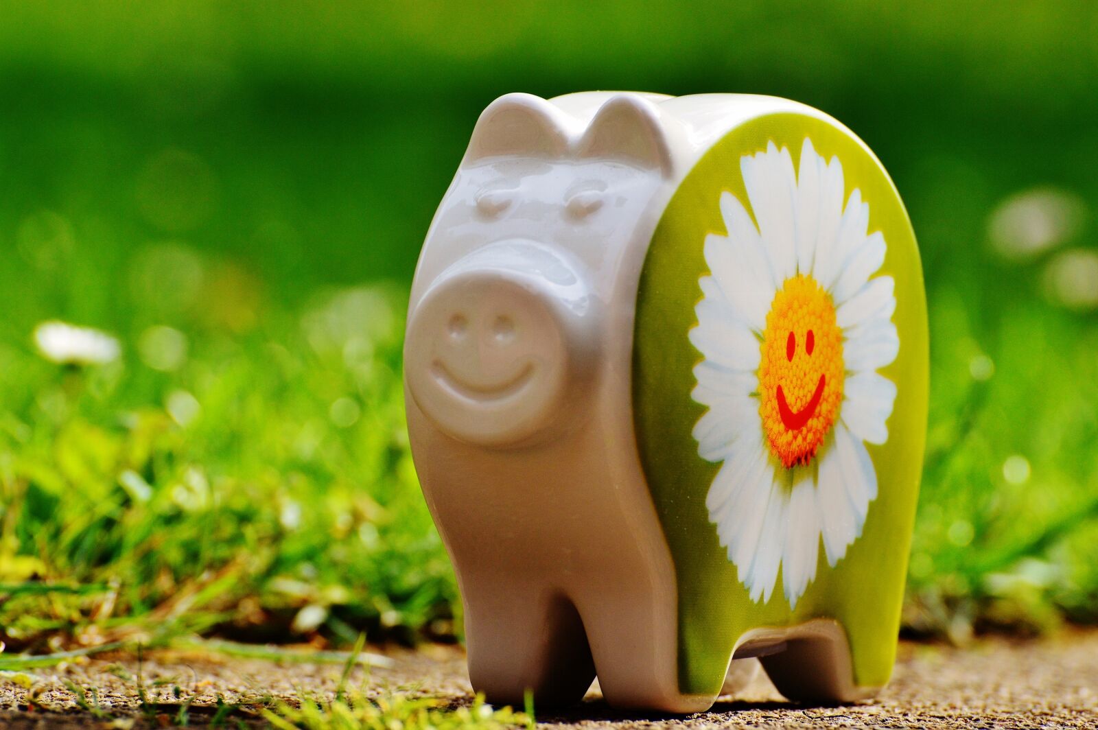 Nikon D3200 sample photo. Piggy bank, smiley, funny photography