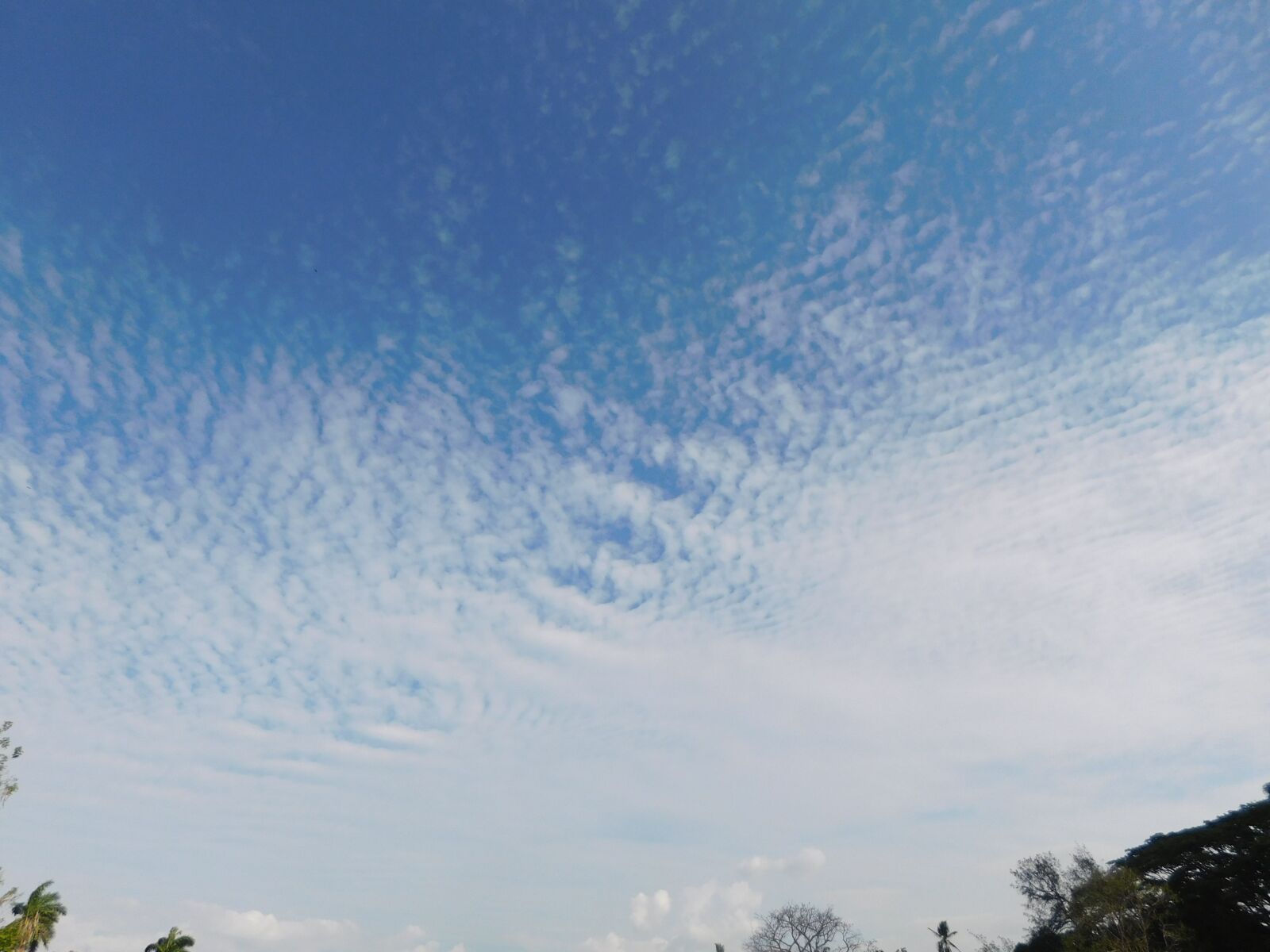 Nikon Coolpix B500 sample photo. Clear skies, blue sky photography
