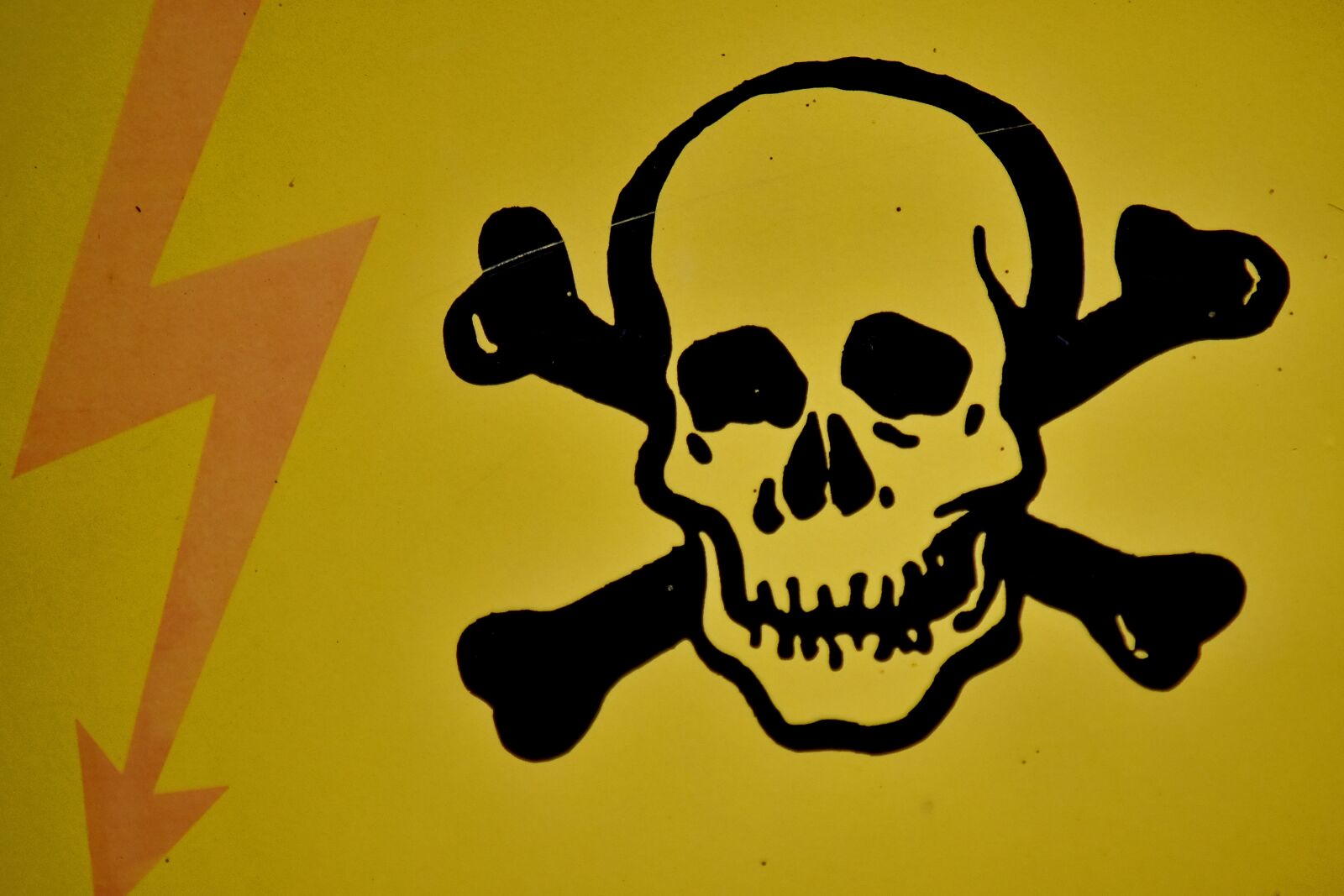 Nikon D5500 sample photo. Bones, danger, electricity, sign photography