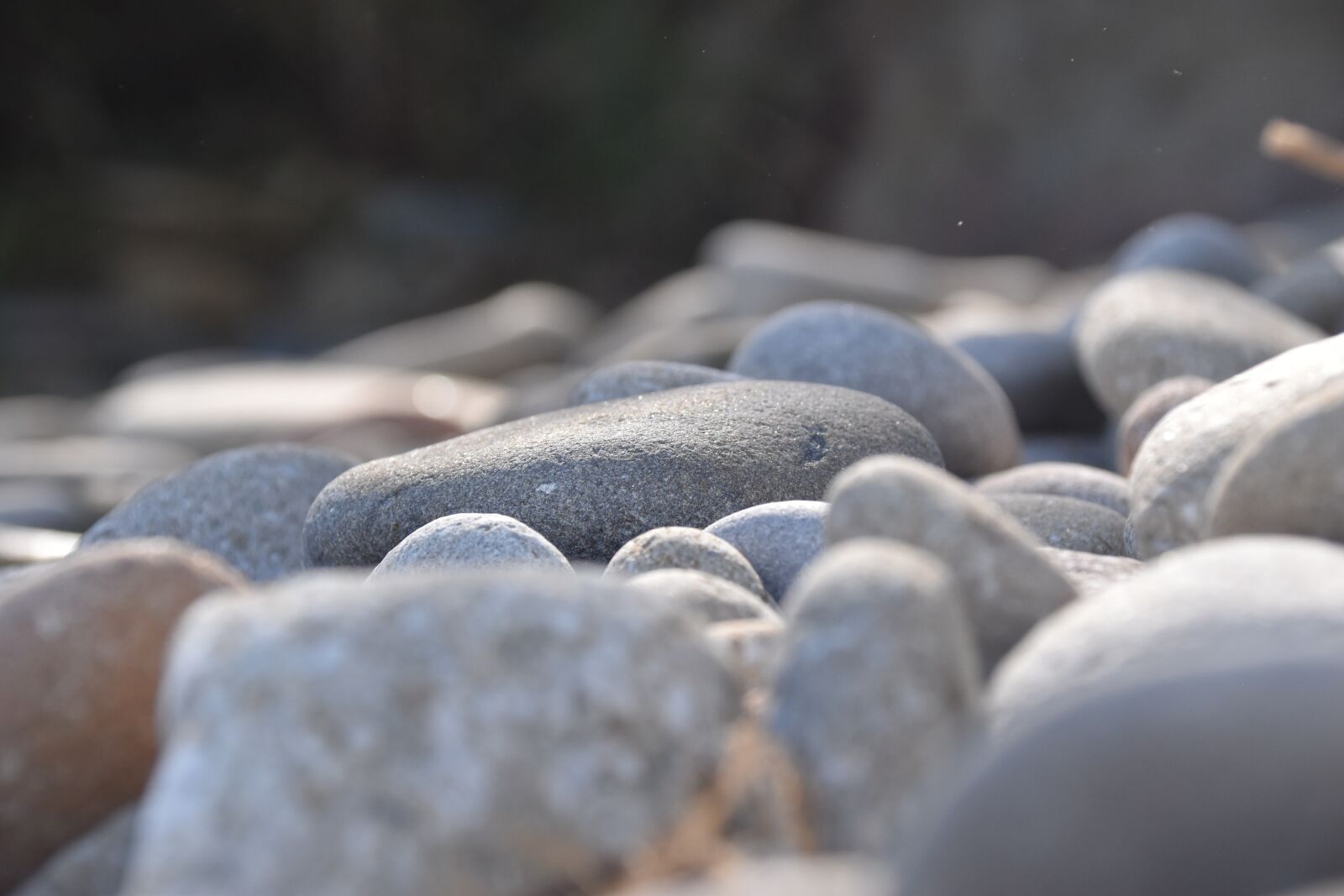 Nikon D5500 sample photo. Roller, beach, corsican photography