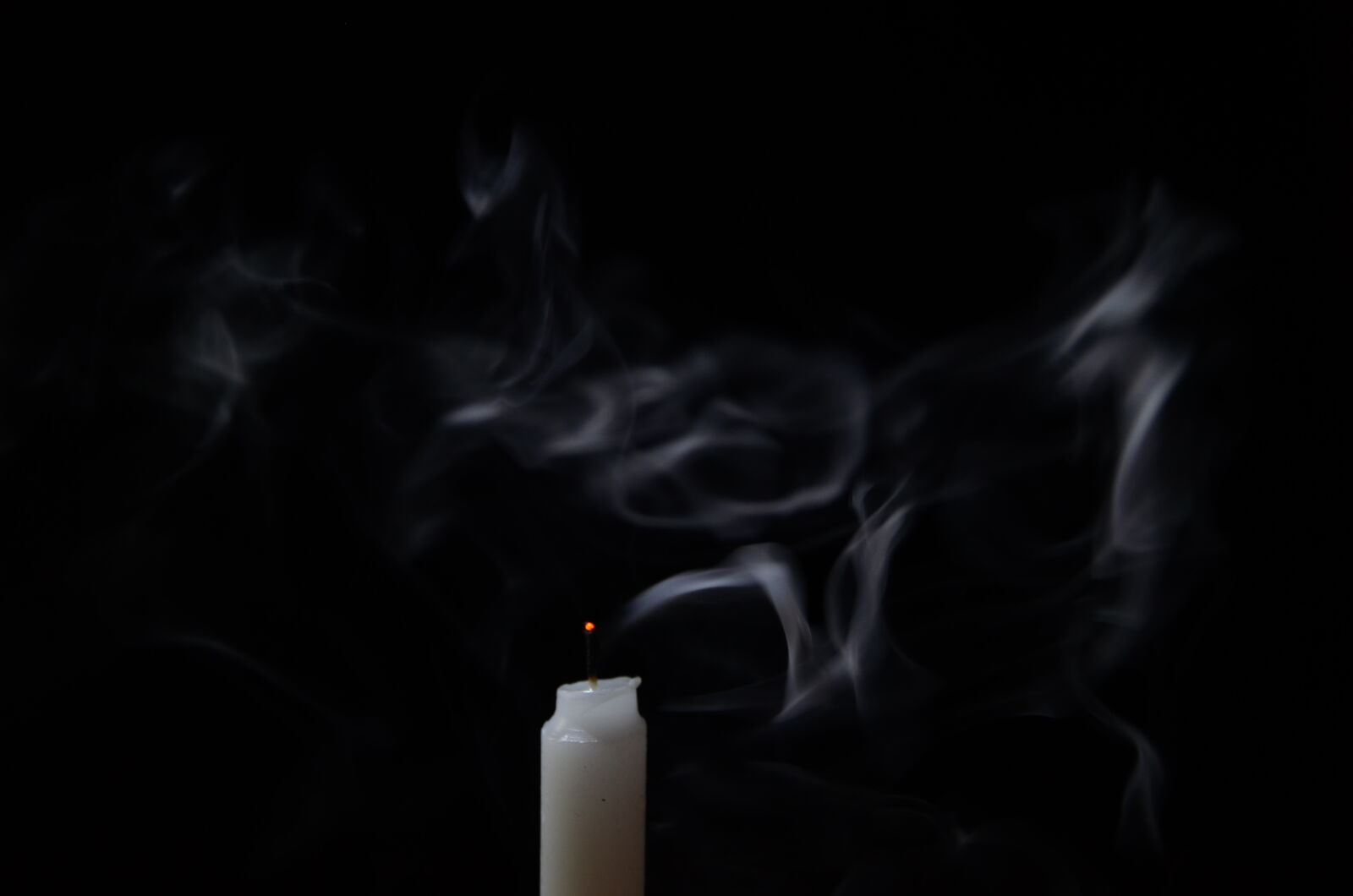 Nikon D5100 sample photo