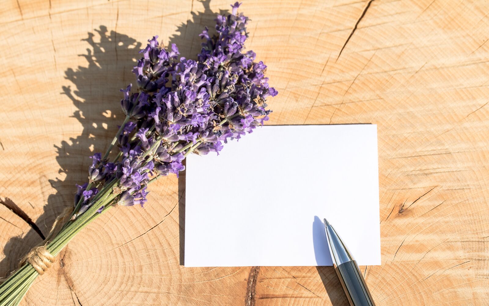 Canon EF-S 60mm F2.8 Macro USM sample photo. Greeting card, thank you photography