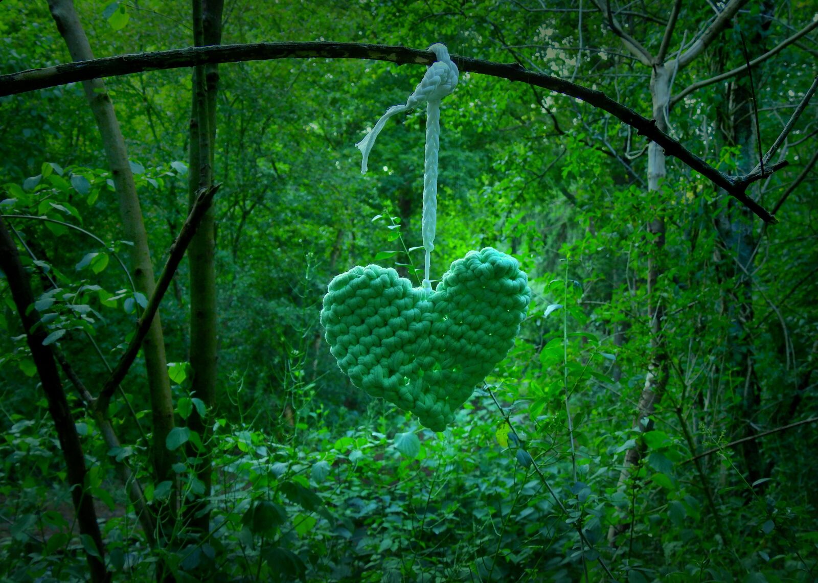 Nikon Coolpix P900 sample photo. Heart, hanging, suspended photography