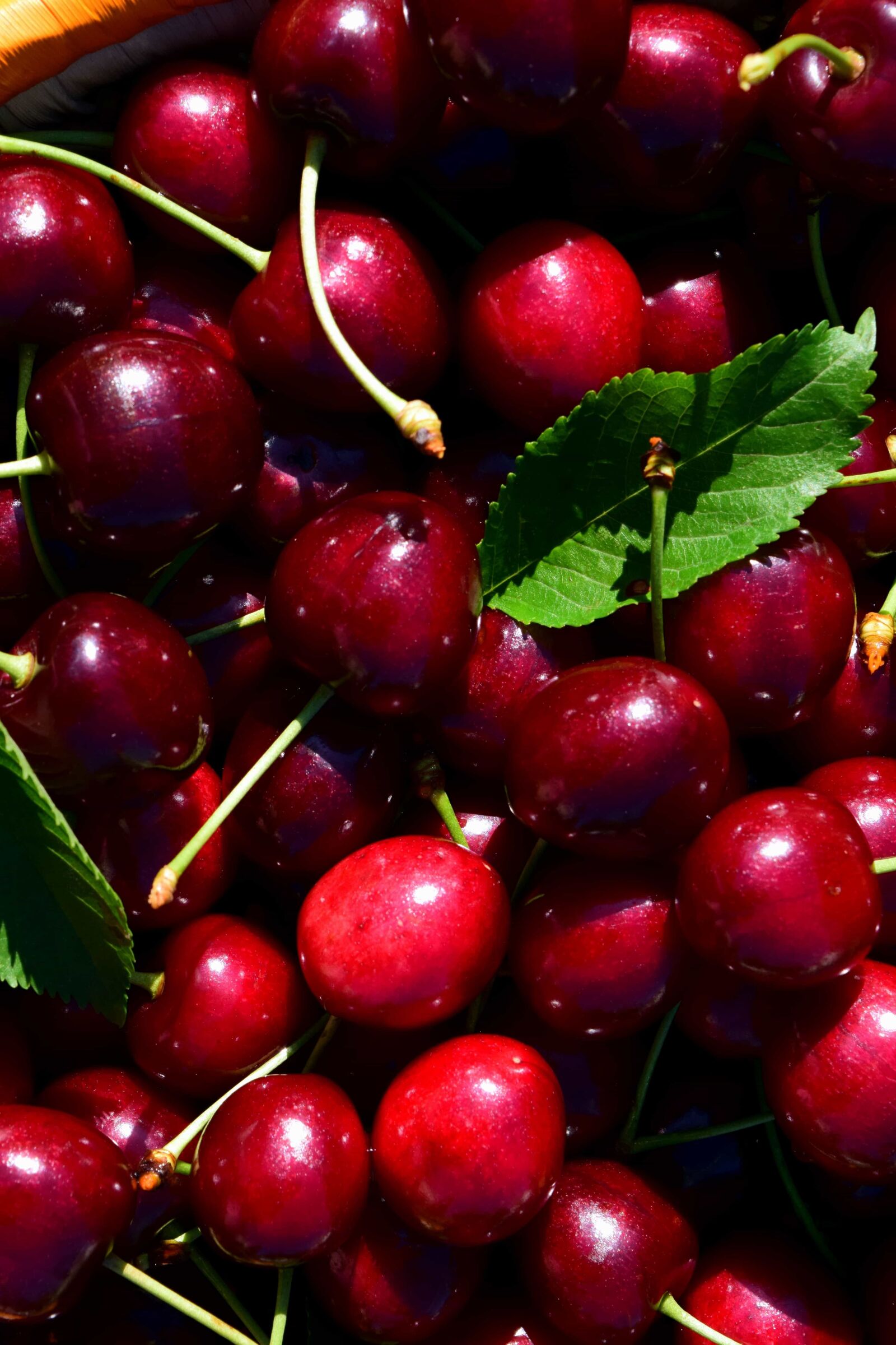 Nikon D3300 sample photo. Fruit, delicious, food, sweet photography