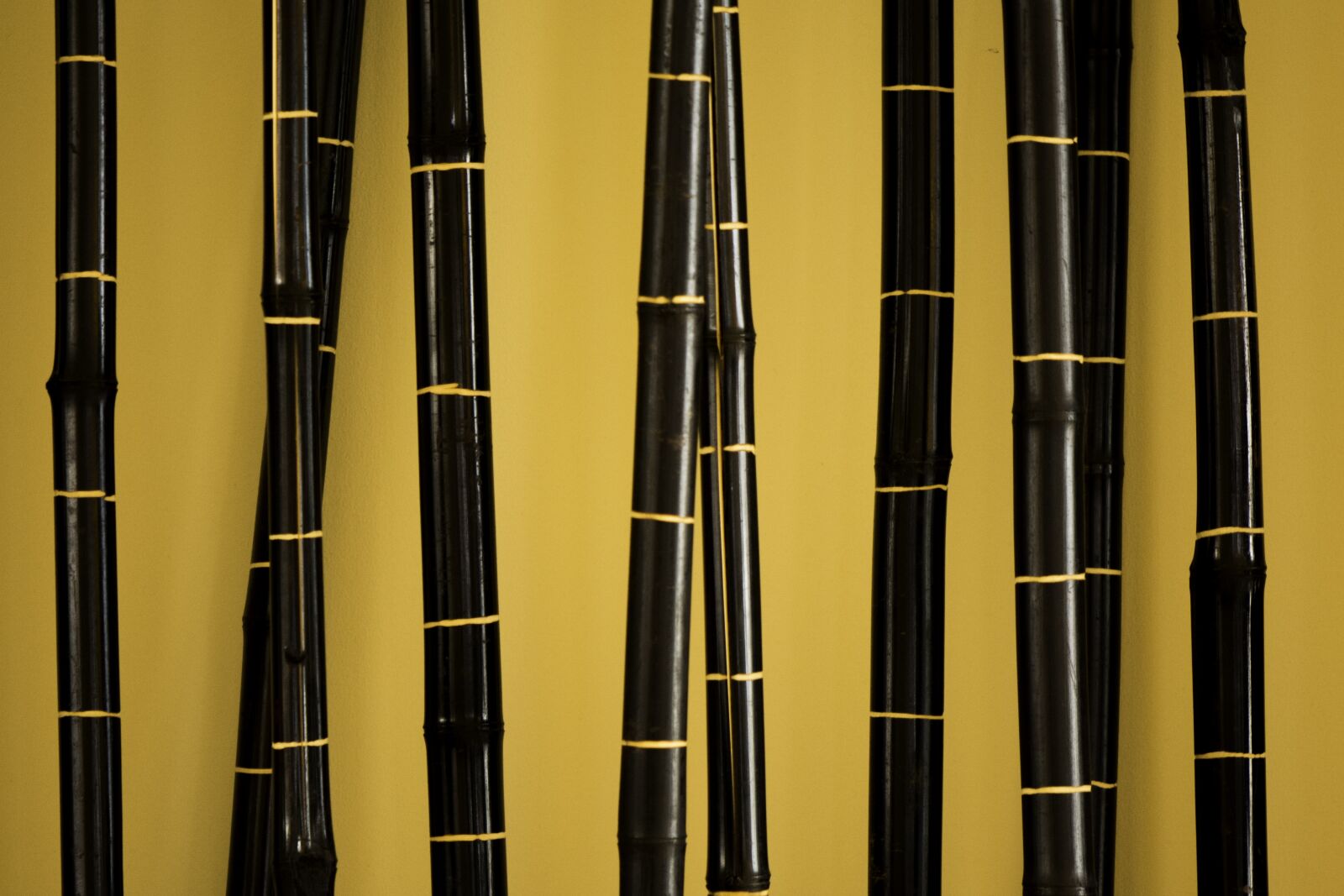 Nikon D5200 sample photo. Bamboo, background, asian photography