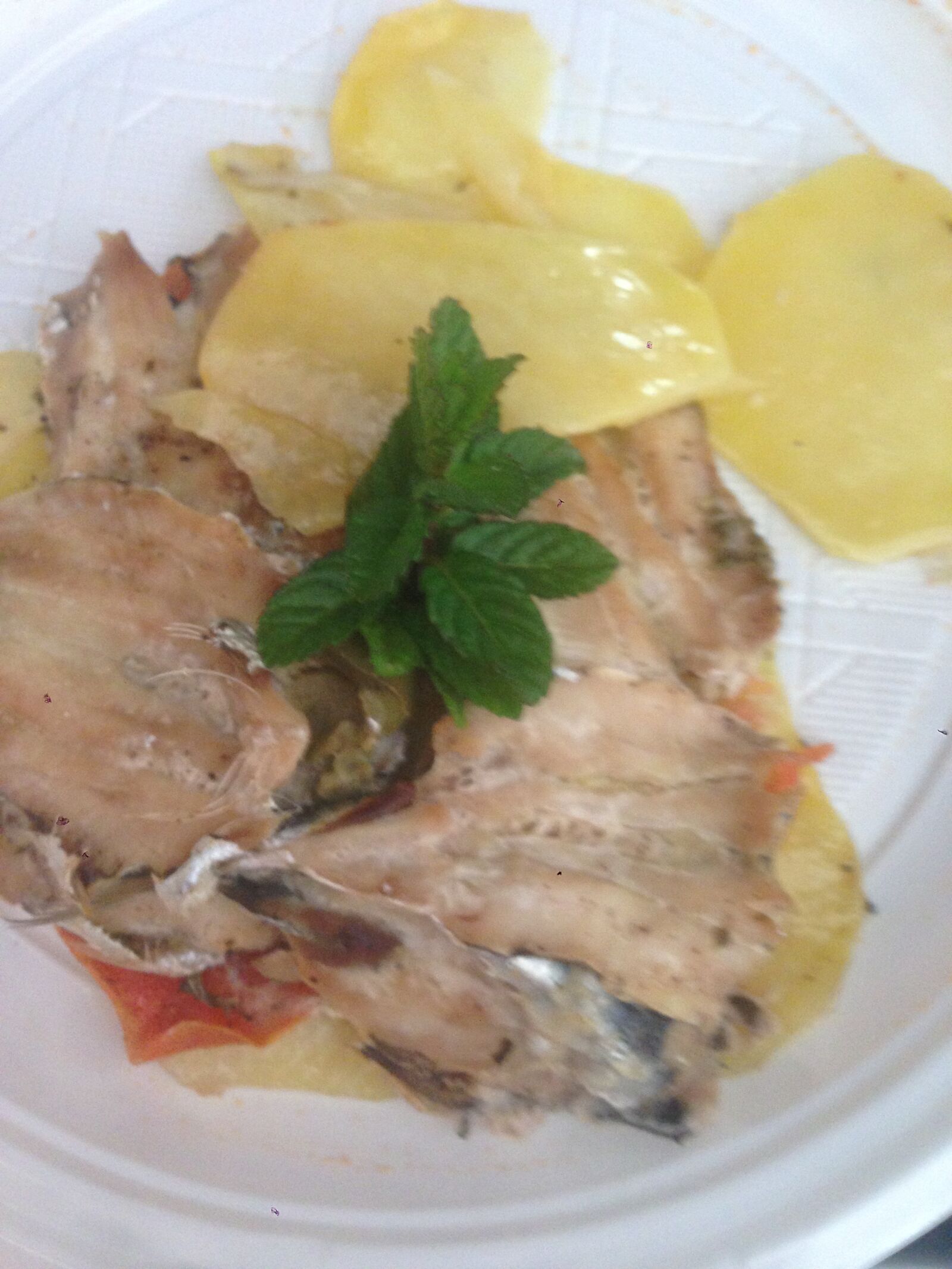 iPhone 5 back camera 4.12mm f/2.4 sample photo. Azzurro, forno, patate, pesce photography