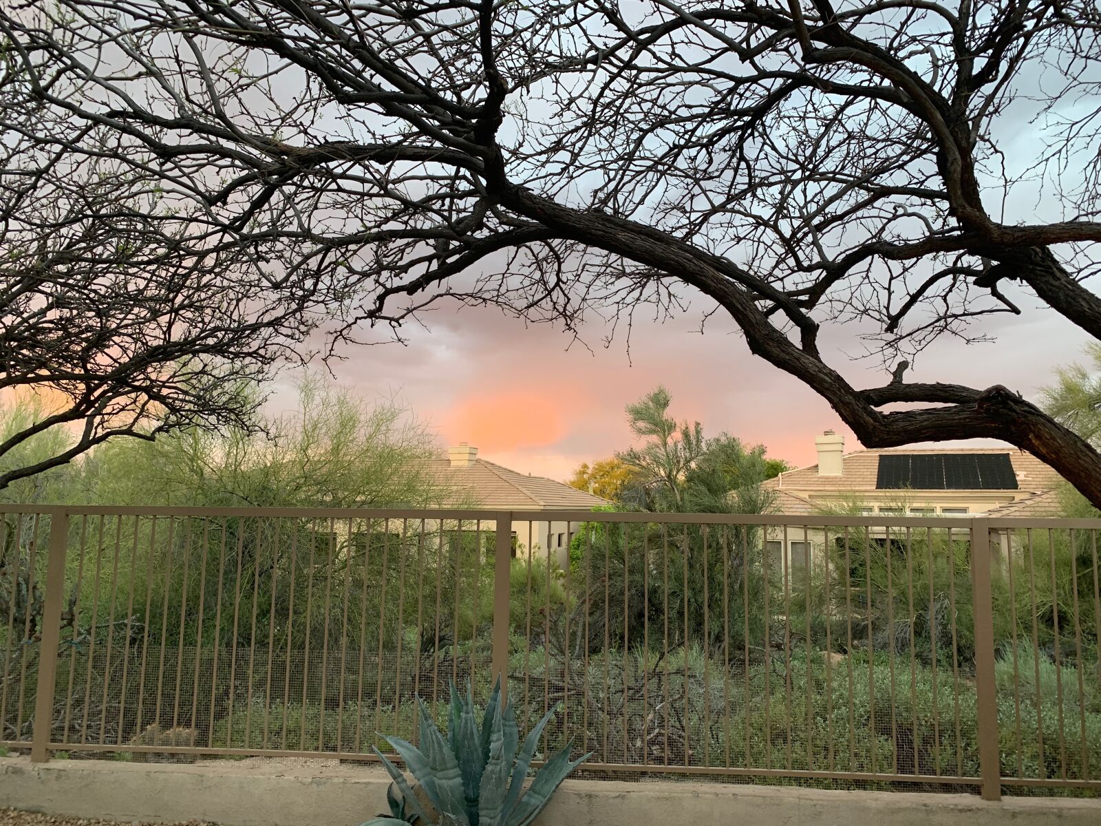 Apple iPhone XS Max sample photo. Arizona sky, pink sky photography
