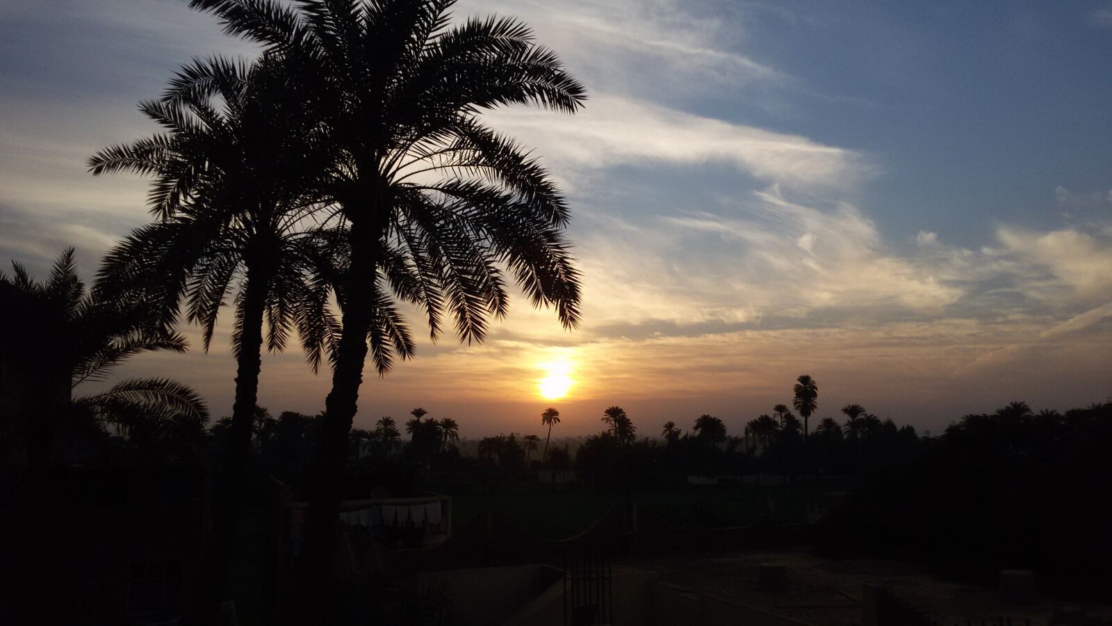 Samsung Galaxy S3 Neo sample photo. Sunrise, palms, morning photography