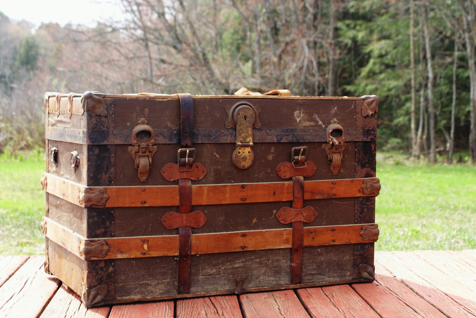 Sony Alpha DSLR-A100 sample photo. Steamer trunk, trunk, luggage photography