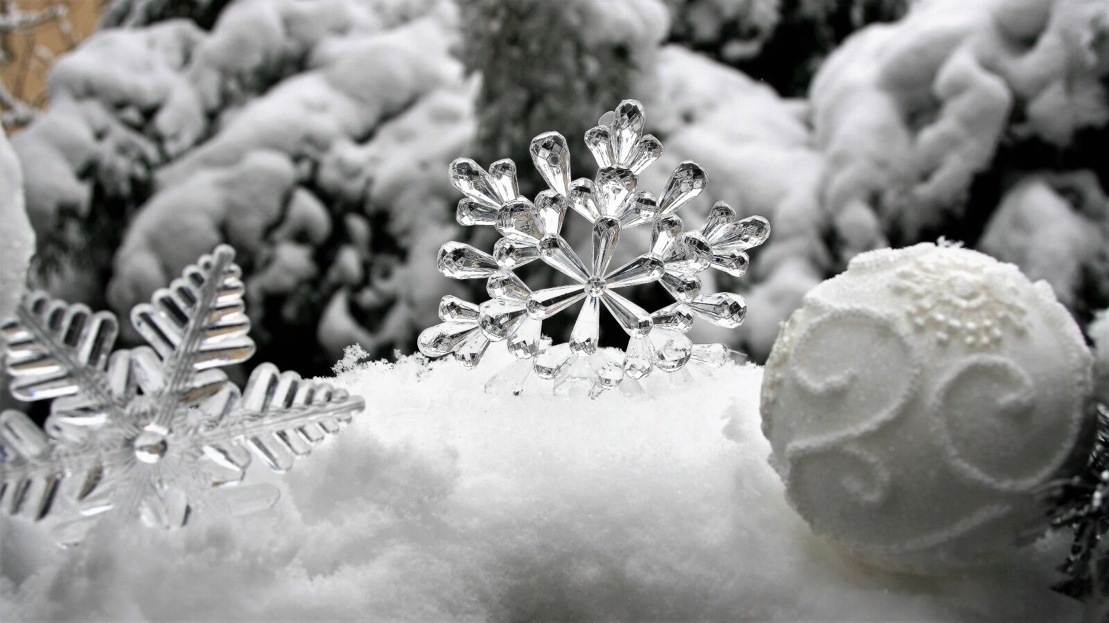 Canon EOS 400D (EOS Digital Rebel XTi / EOS Kiss Digital X) sample photo. Ice, stars, christmas baubles photography