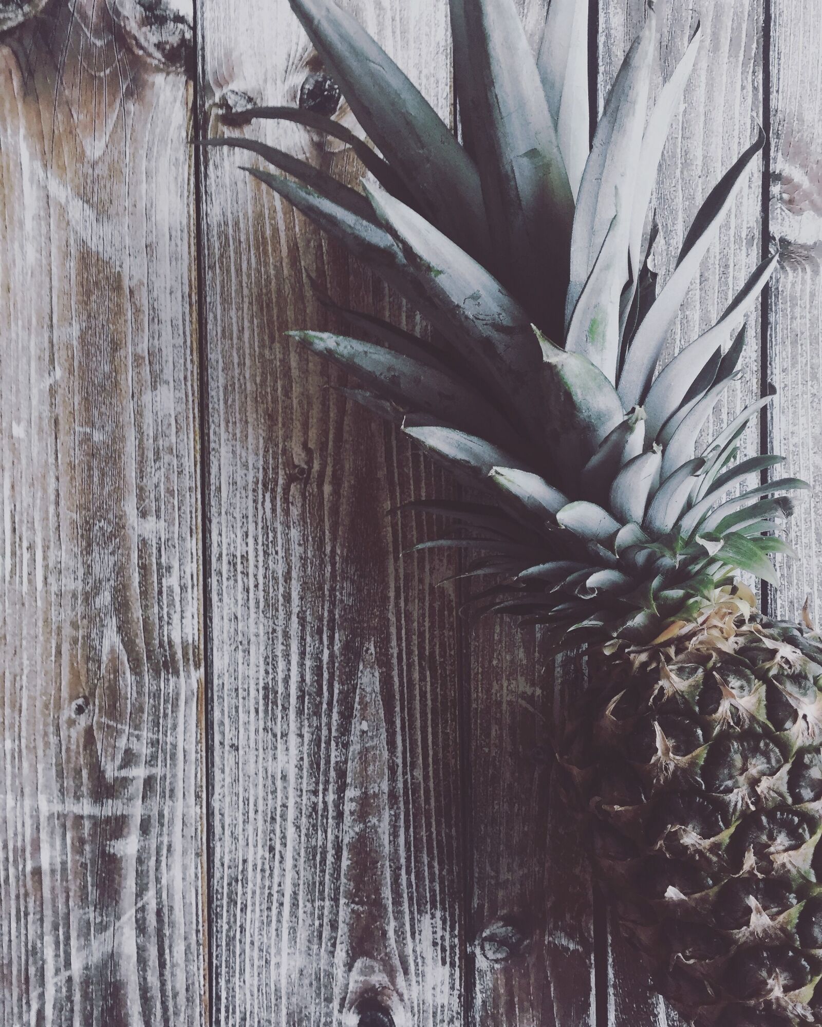 Apple iPhone 6 sample photo. Pineapple, fruit, flat lay photography