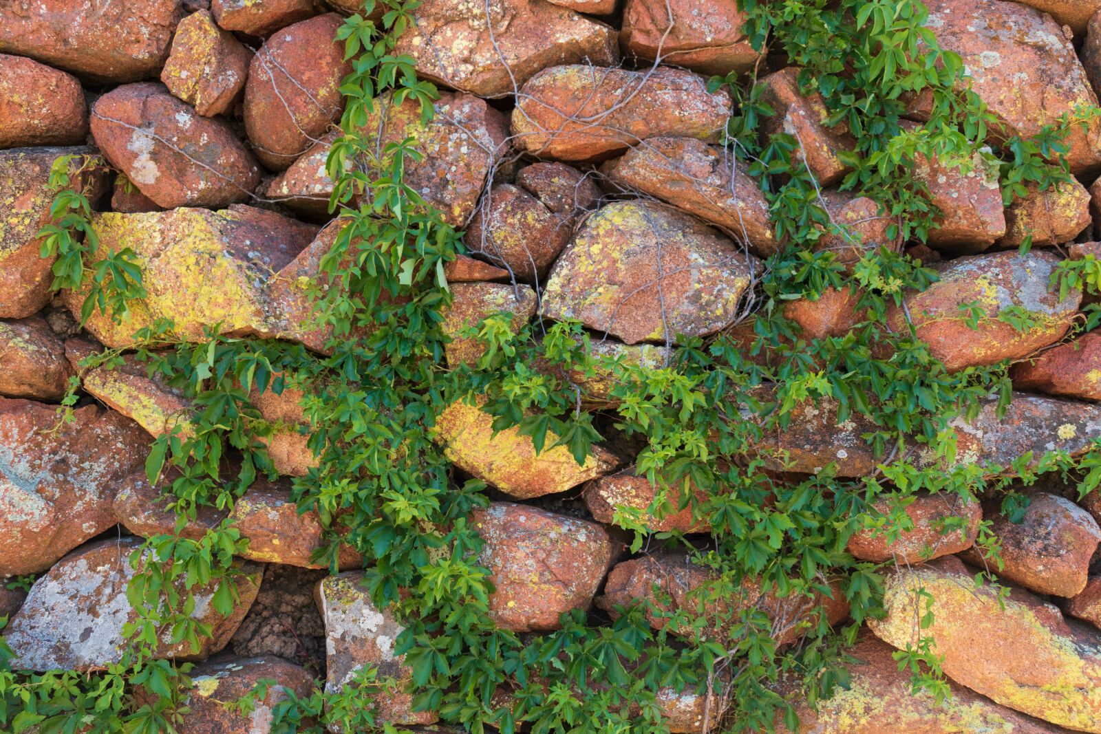 Nikon D3500 sample photo. Rock, rocks, rock wall photography