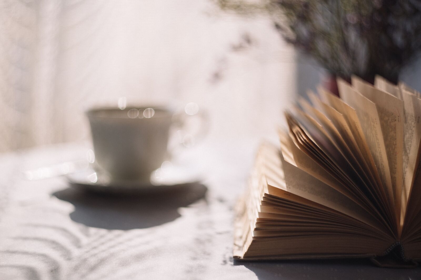 Canon EOS 6D sample photo. Book, novel, reading photography