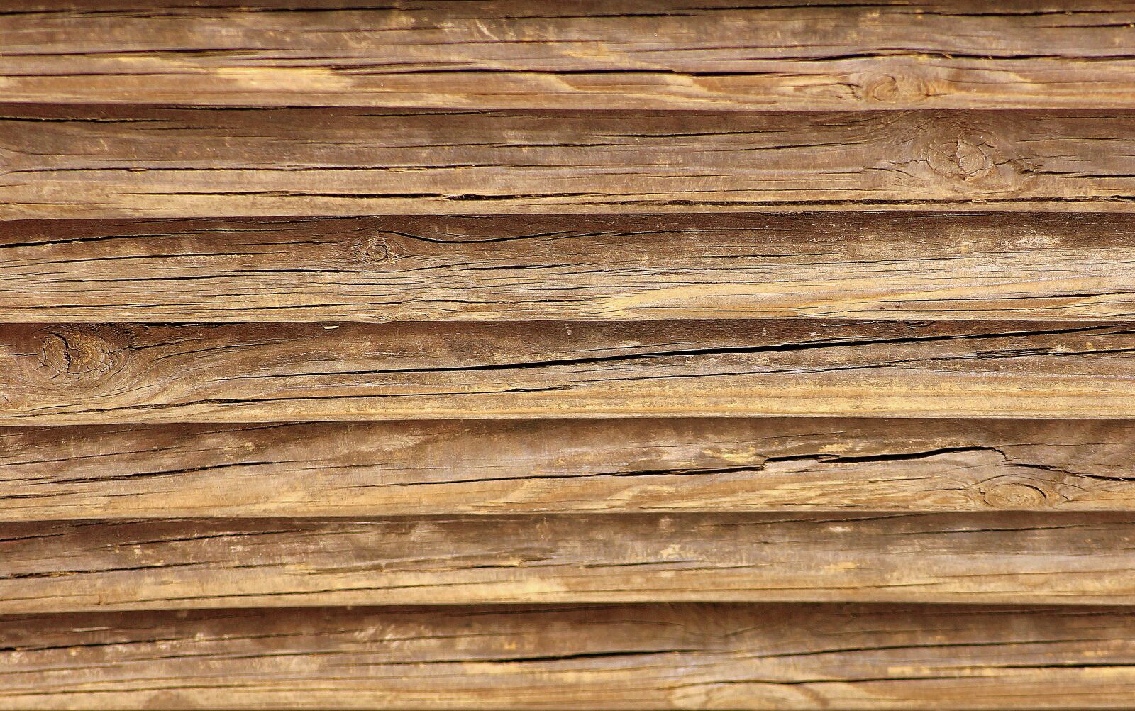 Canon EOS 1200D (EOS Rebel T5 / EOS Kiss X70 / EOS Hi) sample photo. Tree, wood, wooden photography