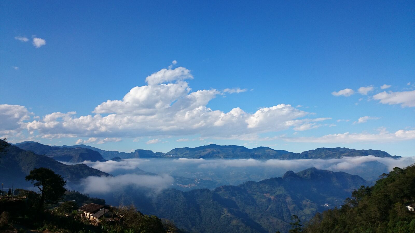 Sony Xperia Z1 sample photo