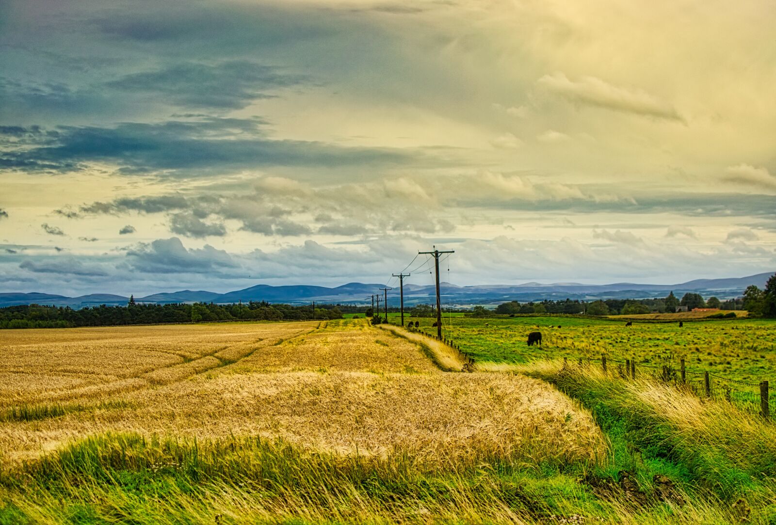 Nikon D5300 sample photo. Scotland, highlands and islands photography