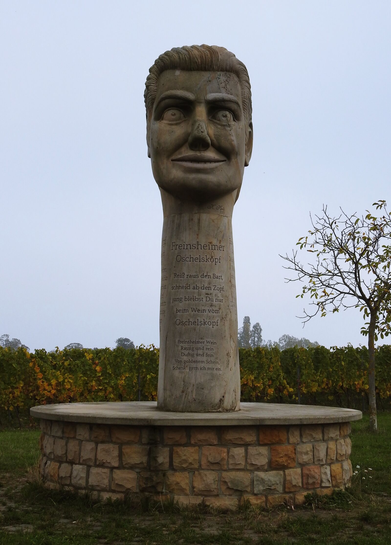 Nikon Coolpix P900 sample photo. Steinmann, monument, vineyard photography