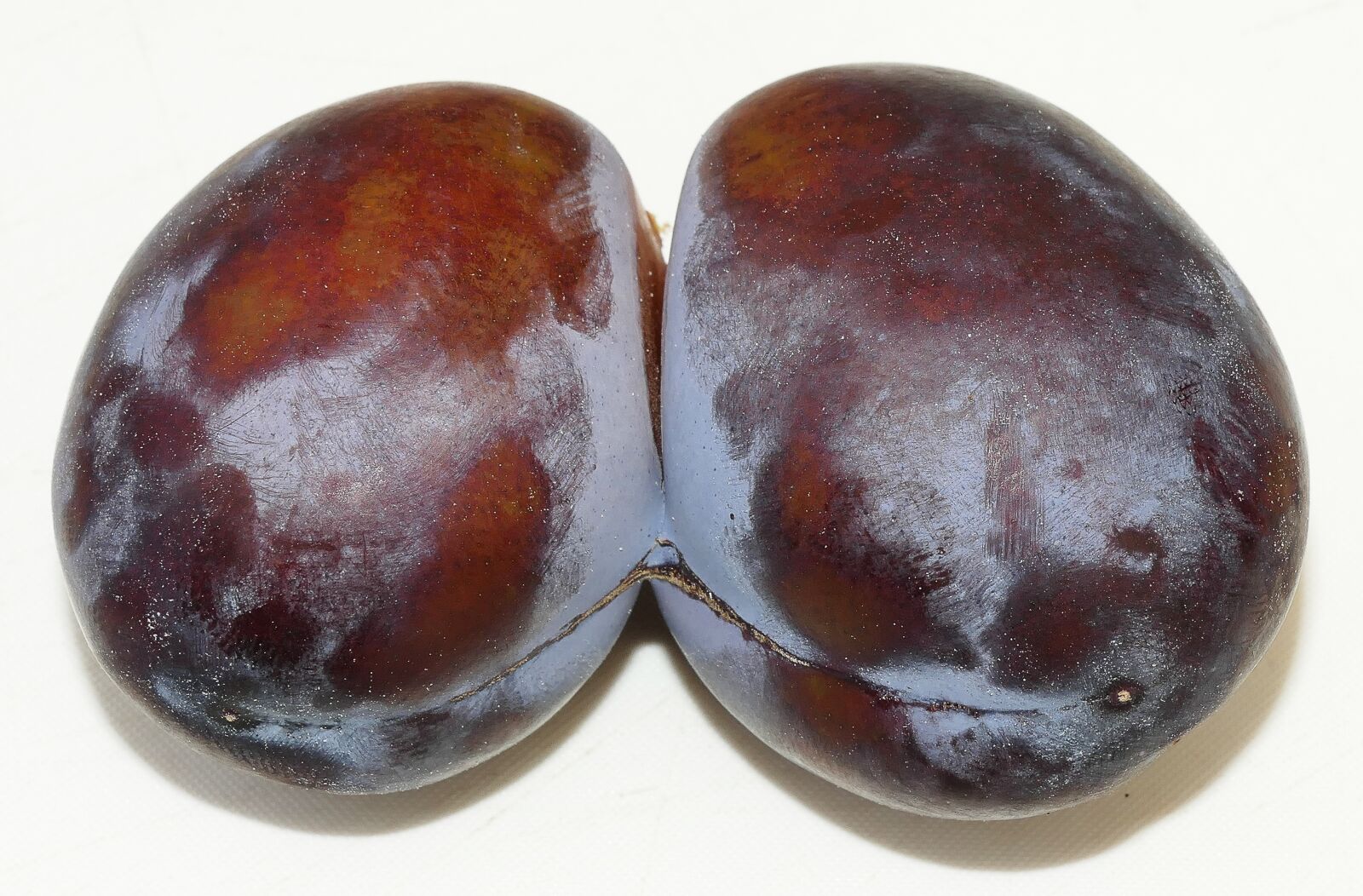 Panasonic Lumix DMC-FZ1000 sample photo. Plum, twin, twin plum photography
