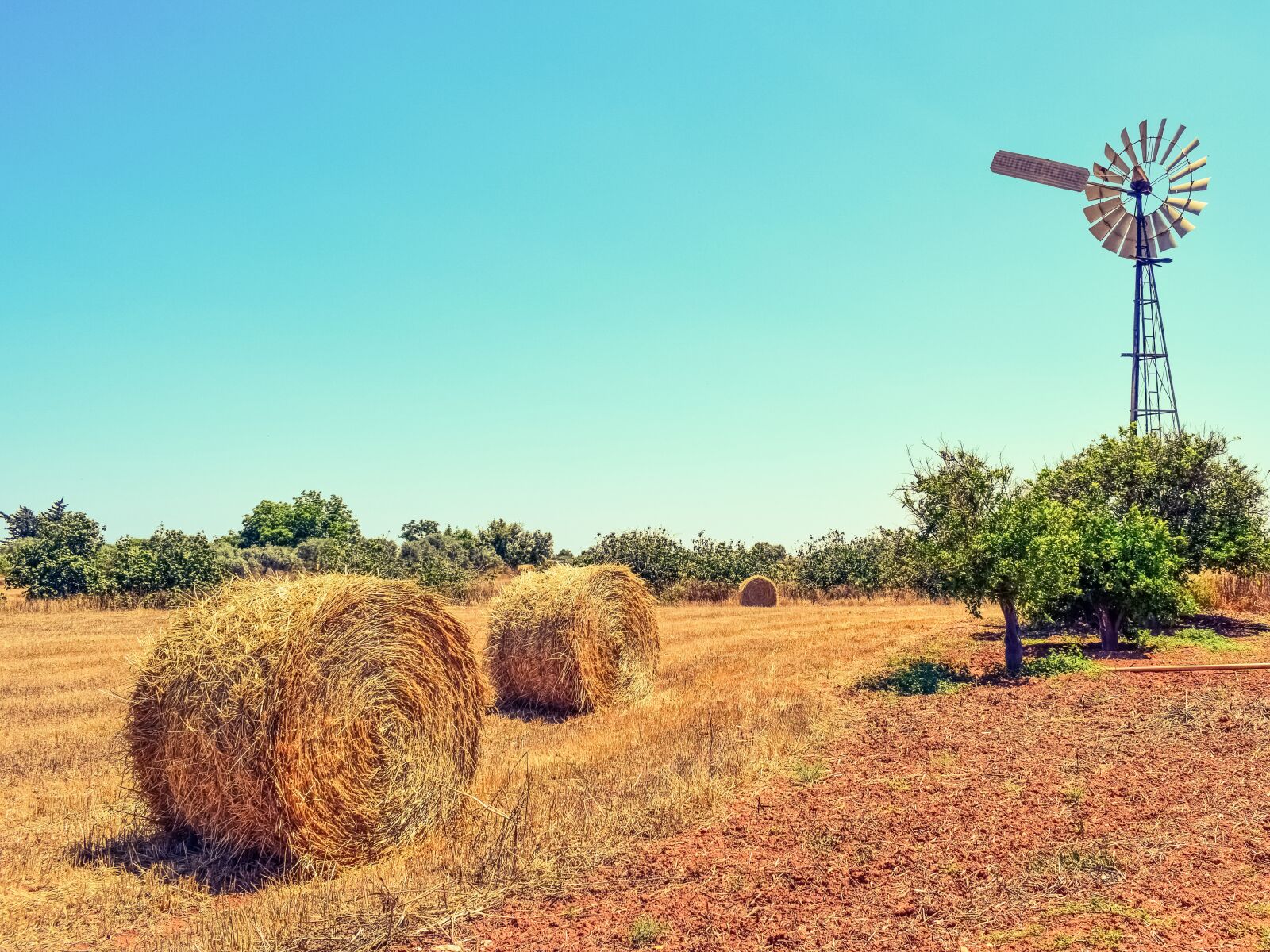 Nikon D3300 sample photo. Farm, trees, countryside photography