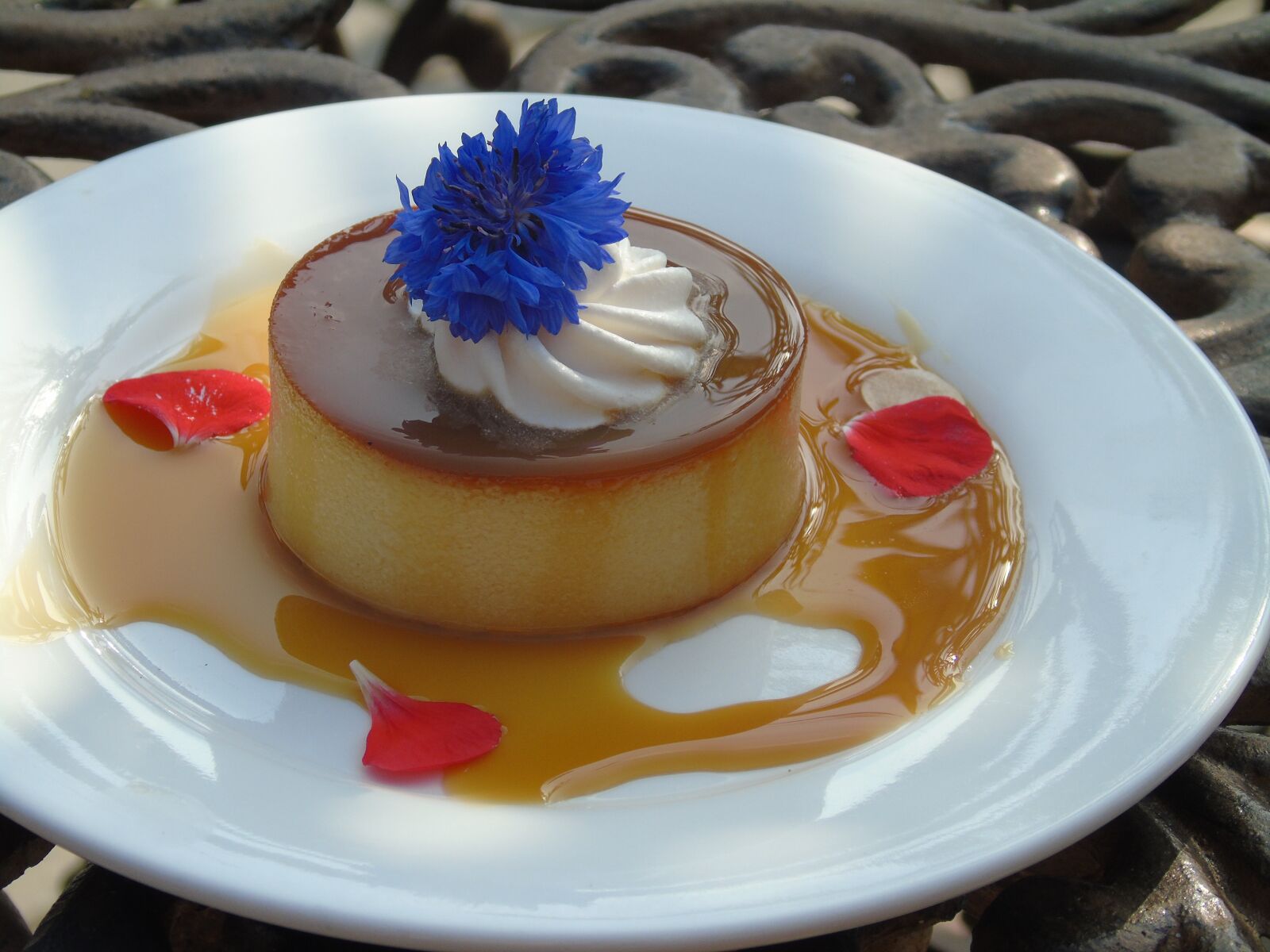 Sony Cyber-shot DSC-H400 sample photo. Dessert, flan, sweet photography