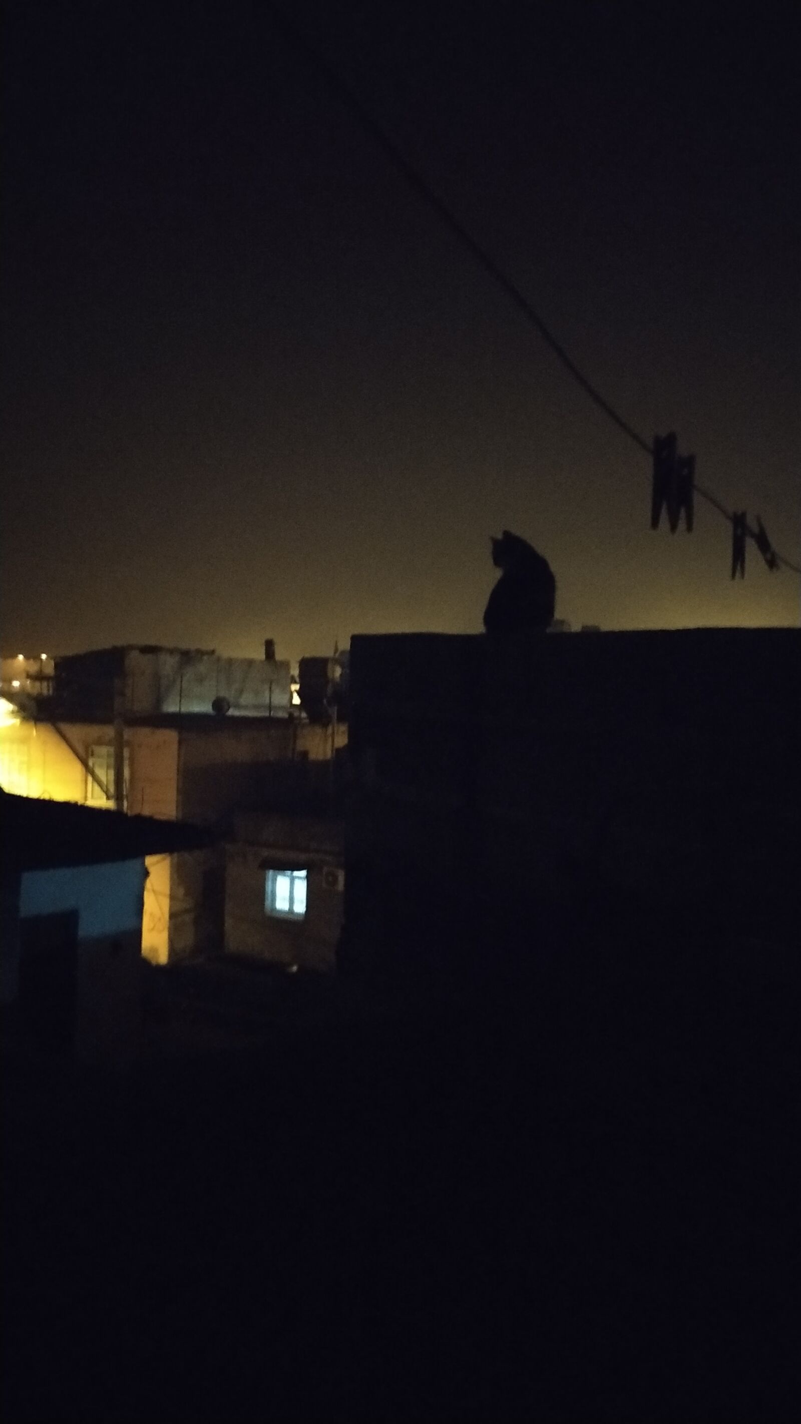 Xiaomi Redmi Note 6 Pro sample photo. Cat, night, athome photography