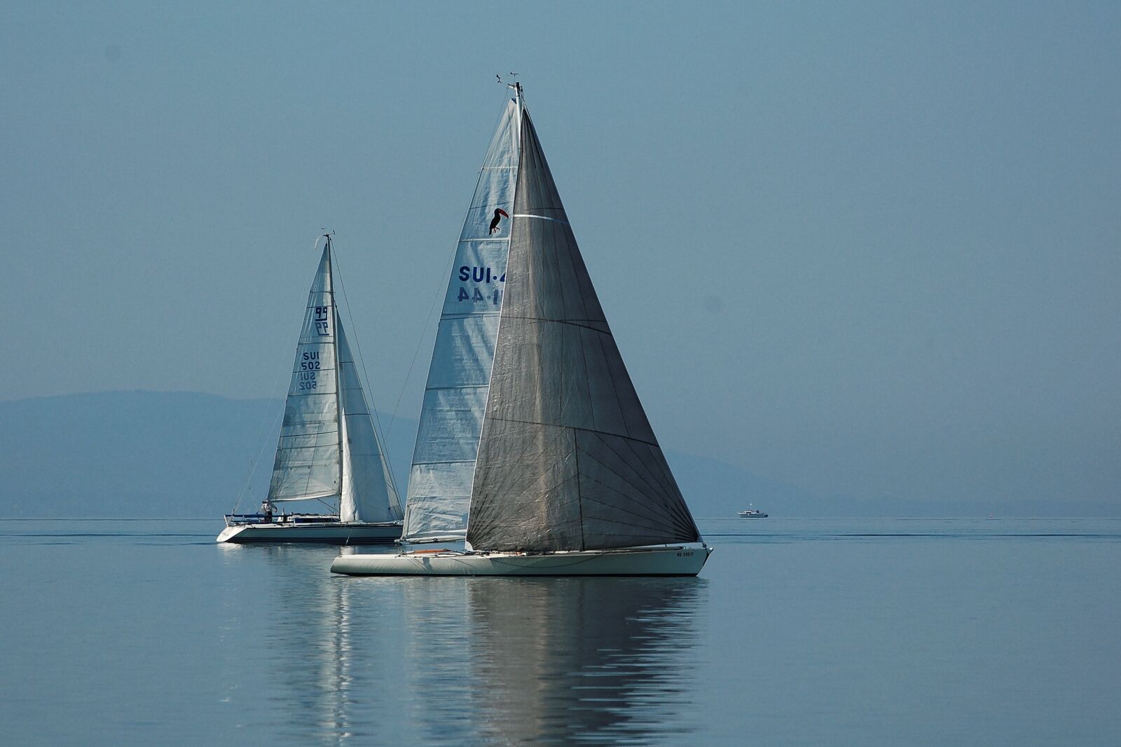 Nikon D50 sample photo. Sailing boat, geneva, lake photography