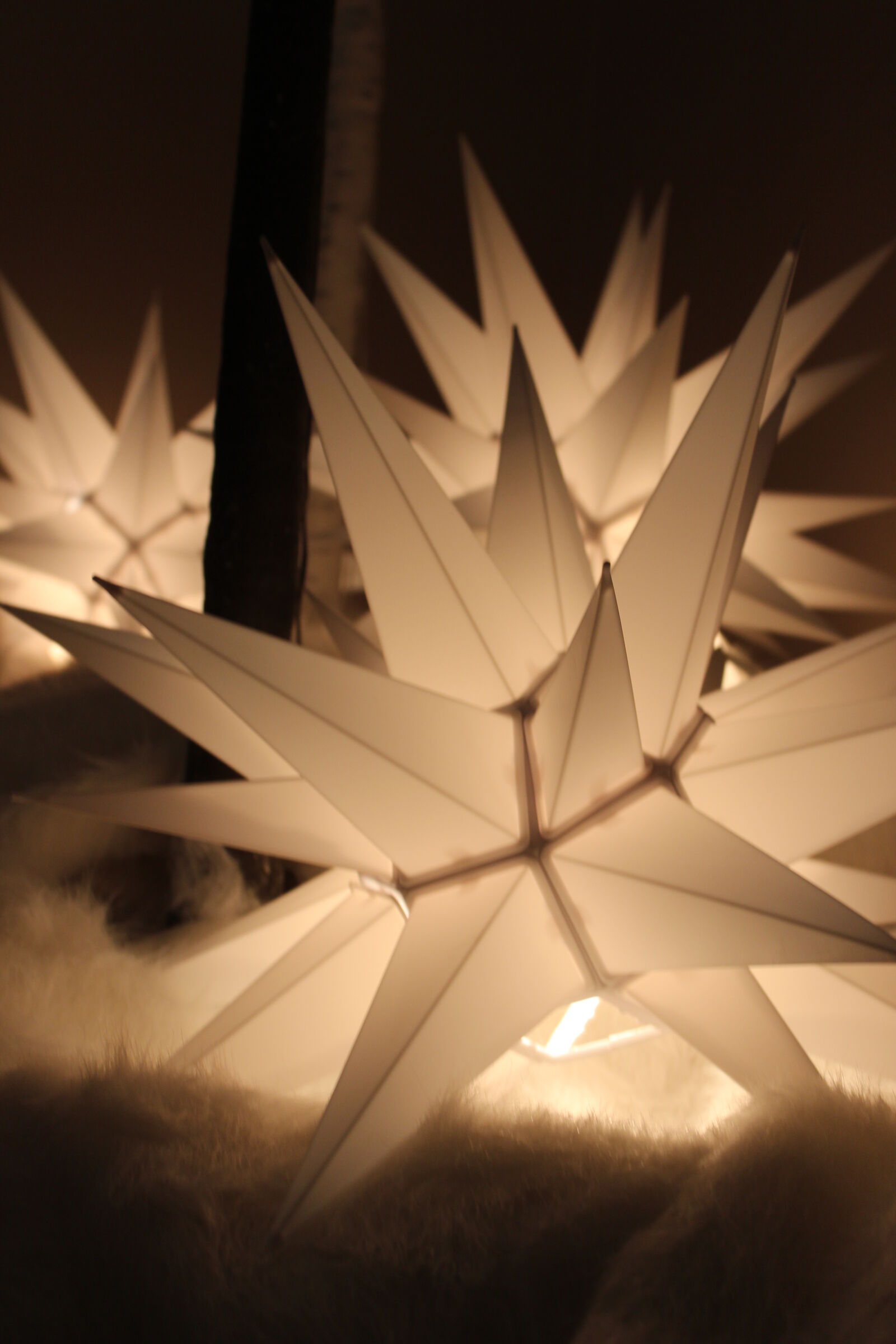 Canon EOS 600D (Rebel EOS T3i / EOS Kiss X5) sample photo. Light, nicolas, desarno, star photography