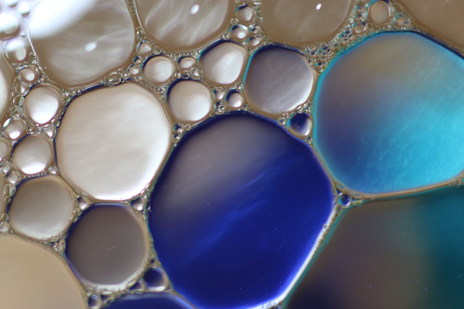 Canon EOS 70D + Canon EF 50mm F2.5 Macro sample photo. Oil in water, liquid photography
