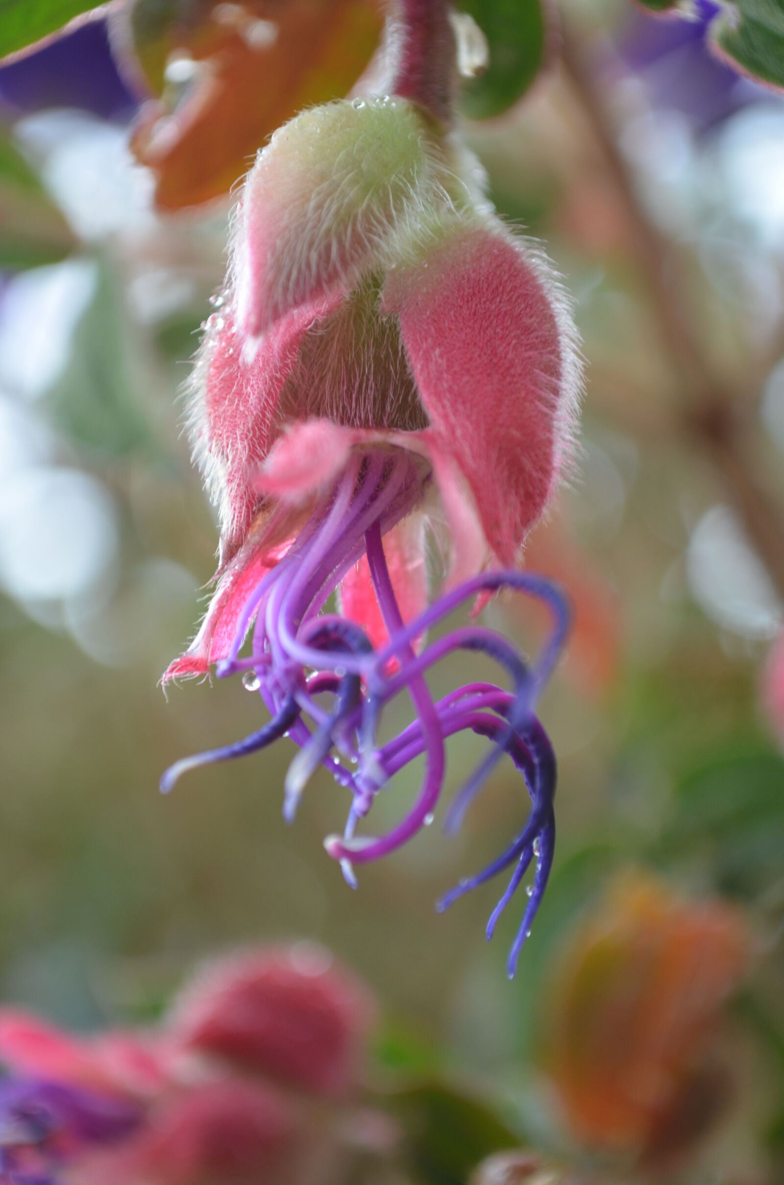 Nikon D5100 sample photo