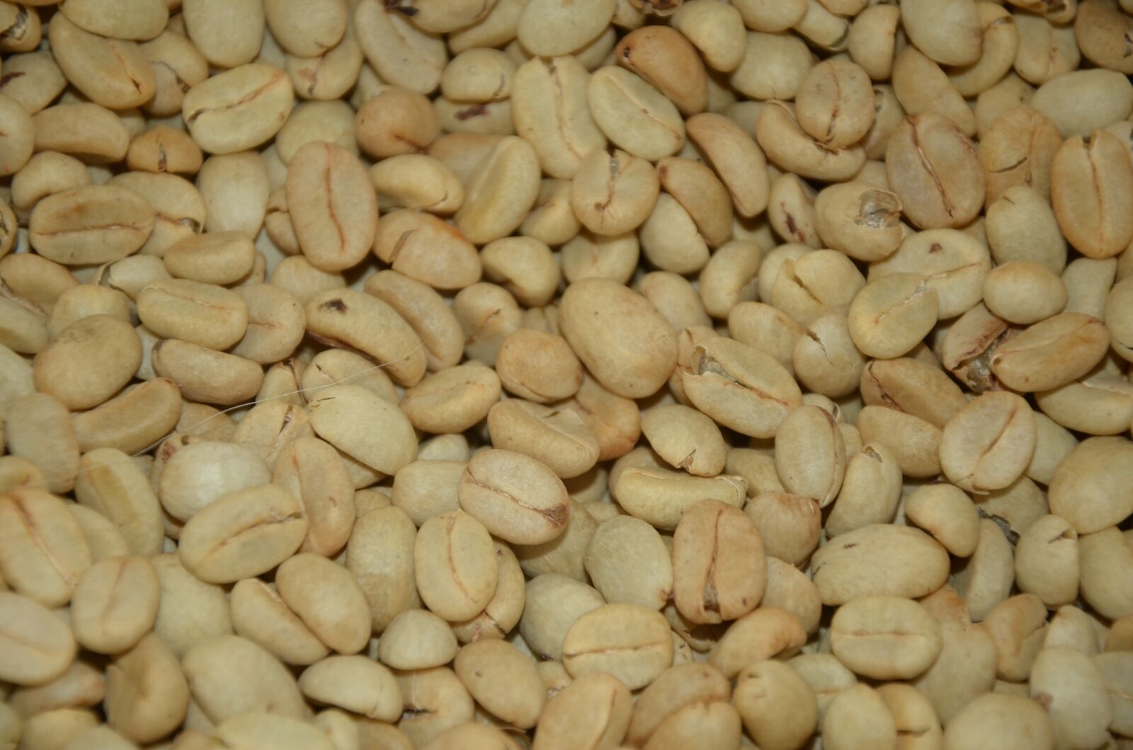 Nikon D7000 sample photo. Coffee, textures, nature photography