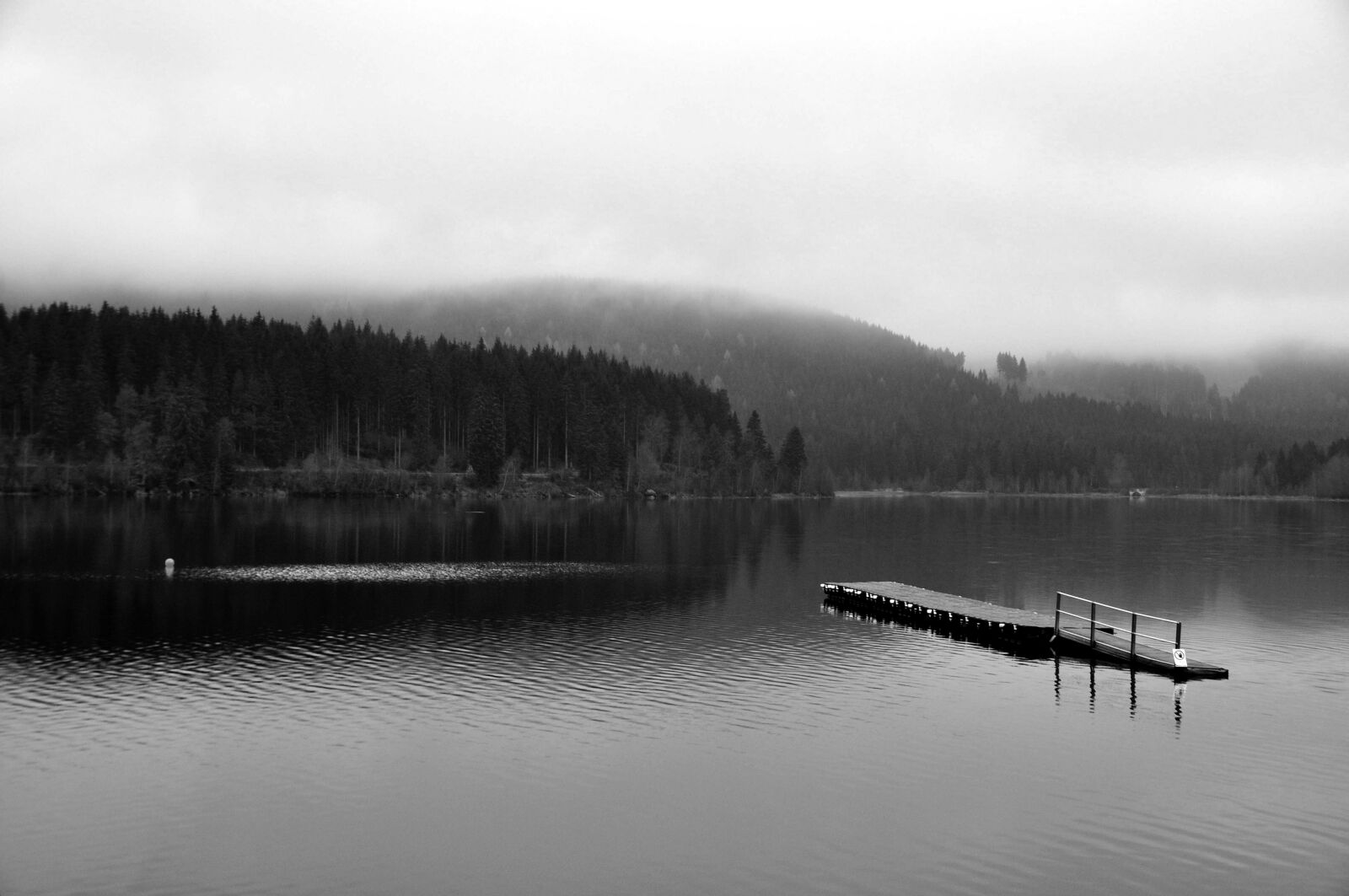 Nikon D90 sample photo. Lake, fog, nature photography