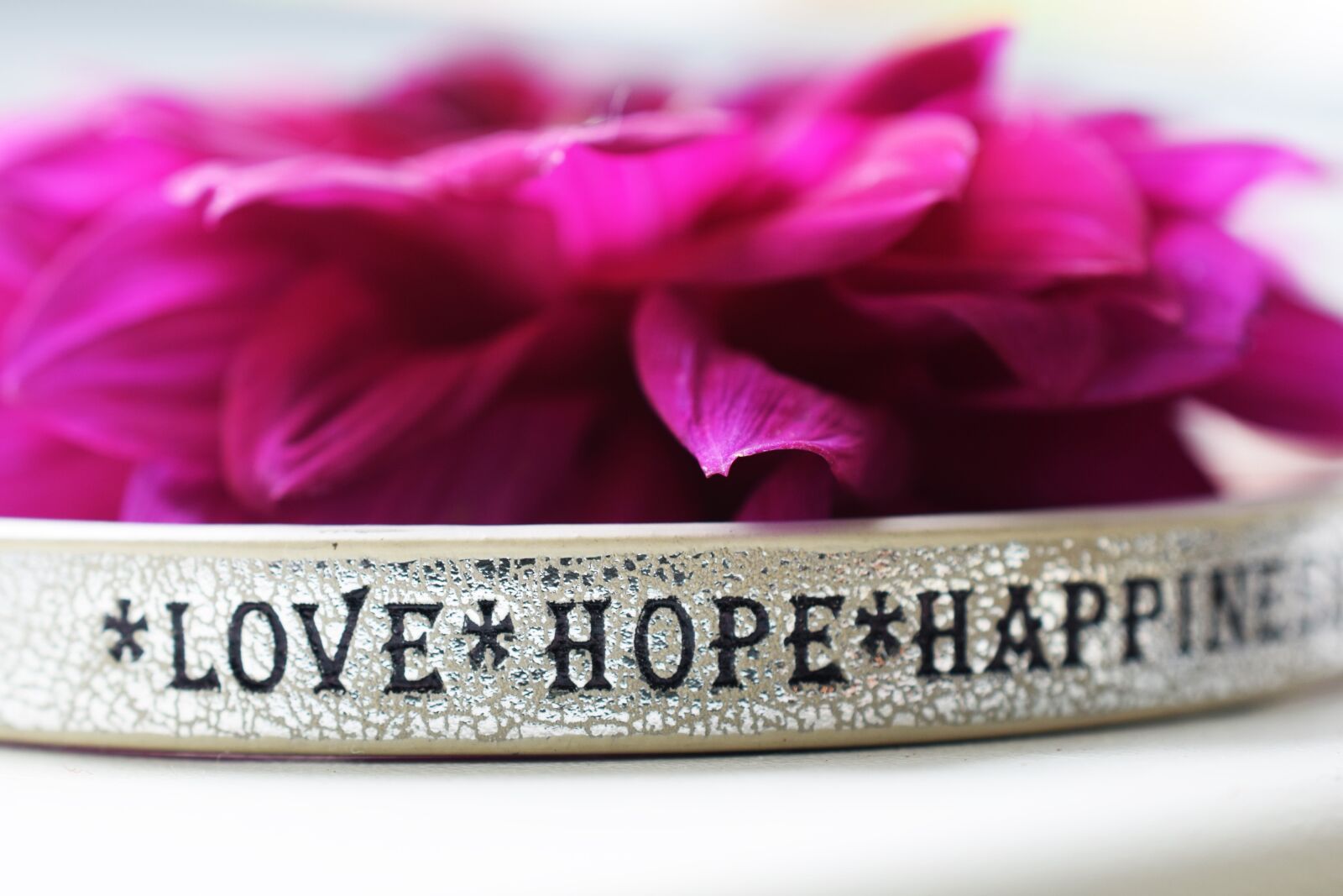 Nikon D5300 sample photo. The inscription, love, flower photography