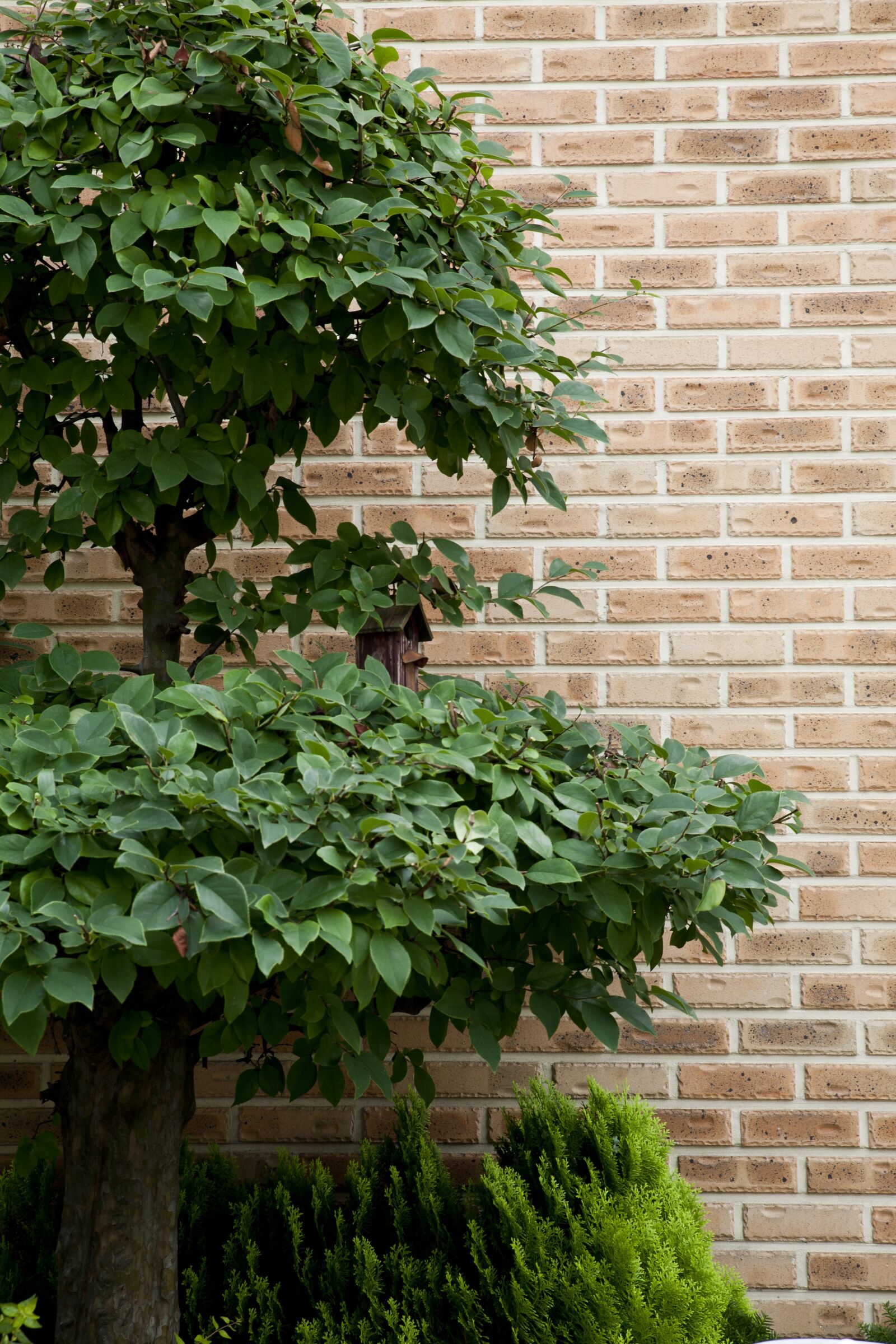 Canon EOS 5D sample photo. Damme, wood, leaf photography