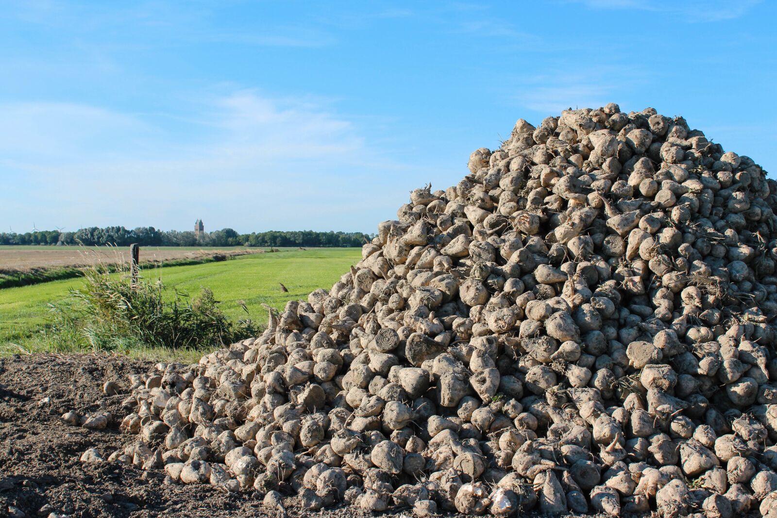 Canon EOS 600D (Rebel EOS T3i / EOS Kiss X5) sample photo. Countryside, friesland, fryslan photography