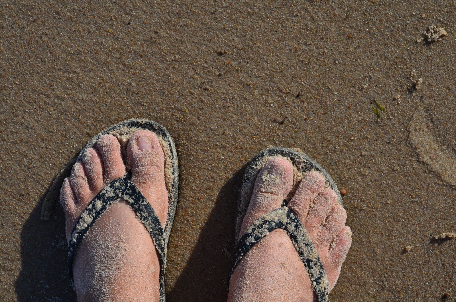 Nikon D5100 sample photo. Beach, sea, holidays photography