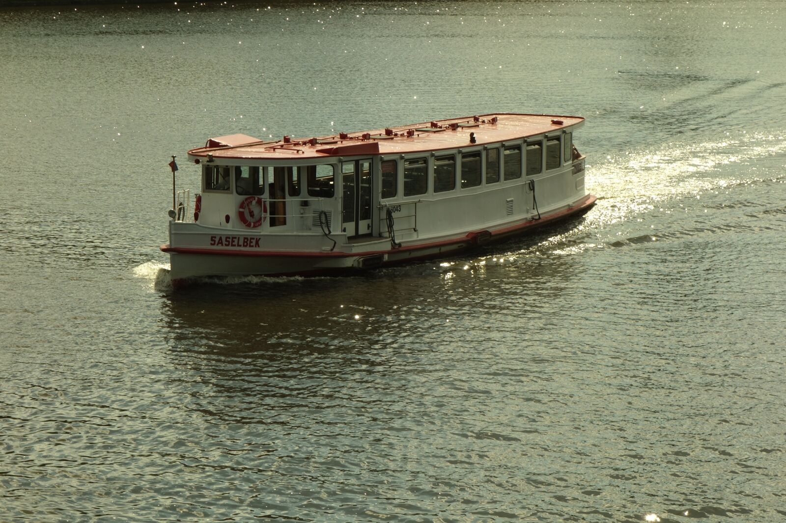 Sony Cyber-shot DSC-RX100 sample photo. Hamburg, alster-steamer, saselbek photography