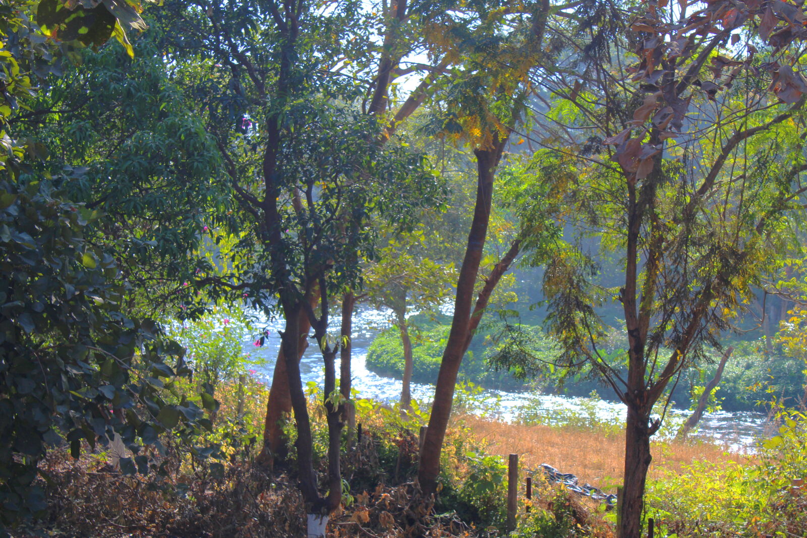 Canon EOS 1200D (EOS Rebel T5 / EOS Kiss X70 / EOS Hi) sample photo. Forest, landscape, river photography