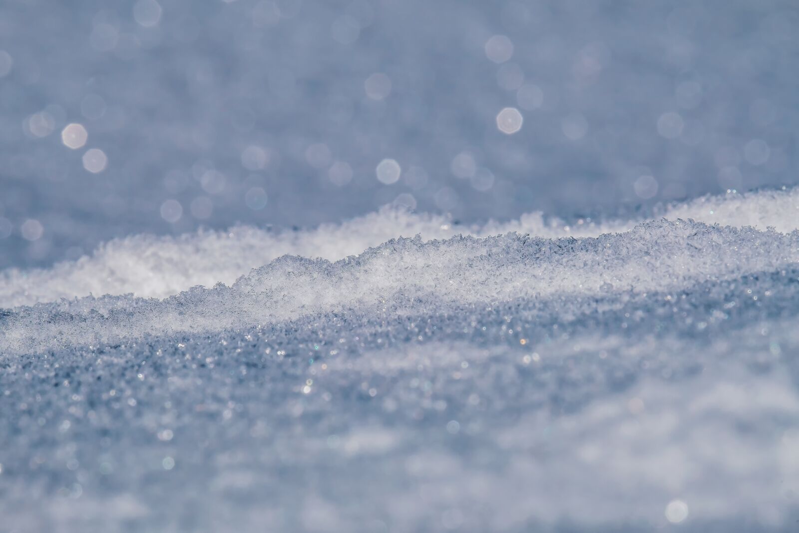 Fujifilm X-T10 sample photo. Texture, background, winter photography