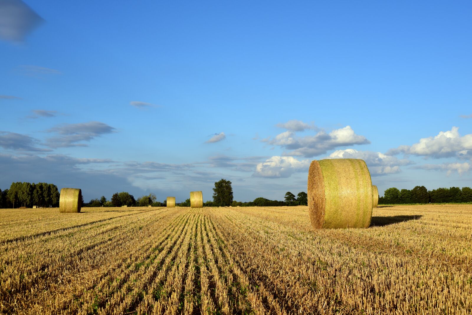 Nikon D750 sample photo. Hay, hay bales, agriculture photography