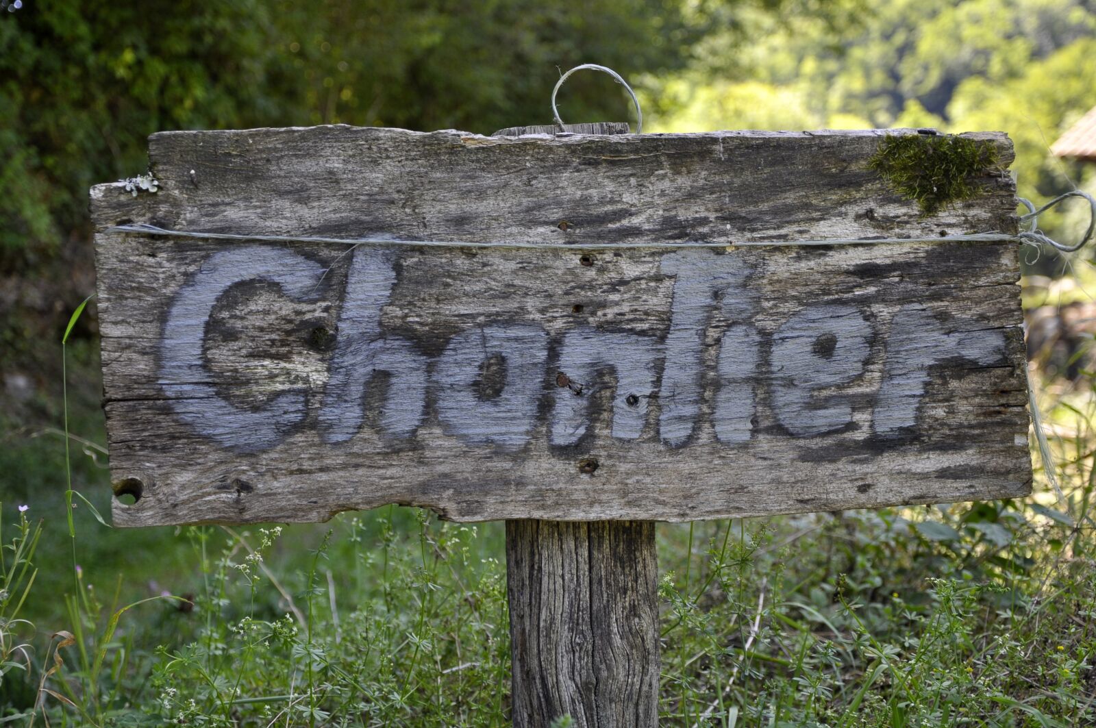 Nikon D90 sample photo. Sign, wood, panel photography
