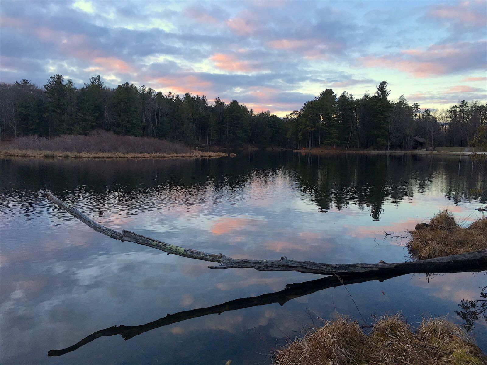 Apple iPhone 6s sample photo. Lake, branch, sunset photography