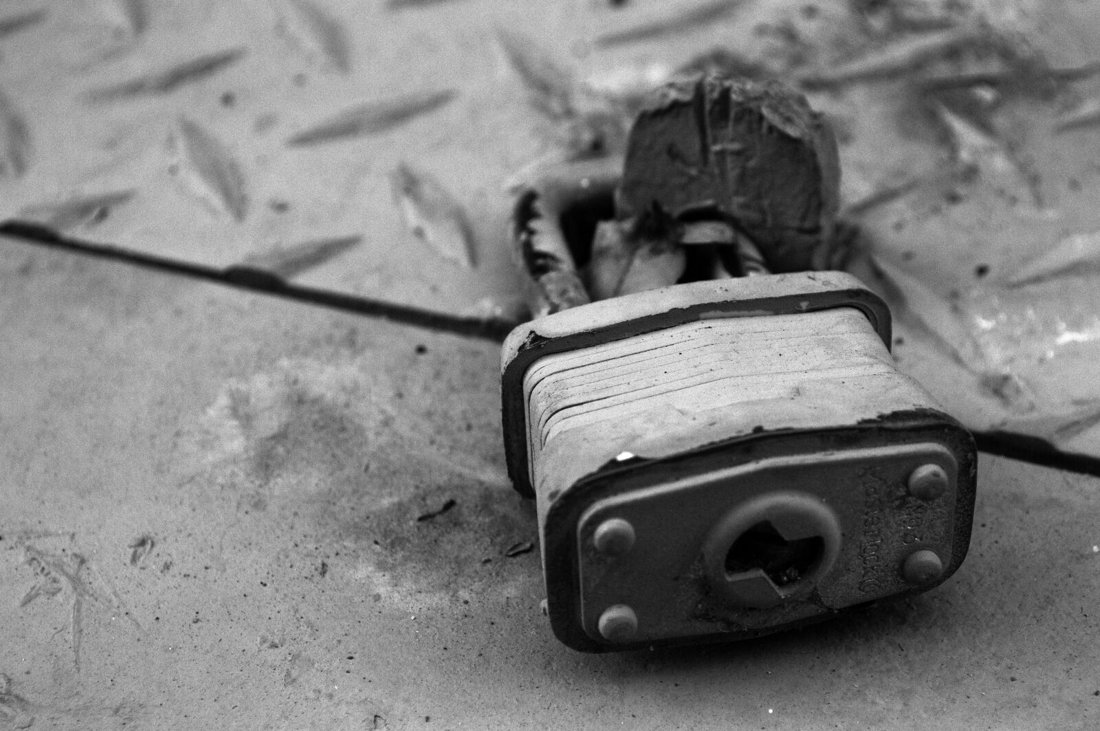 Nikon D3200 sample photo. Black, and, white, grain photography