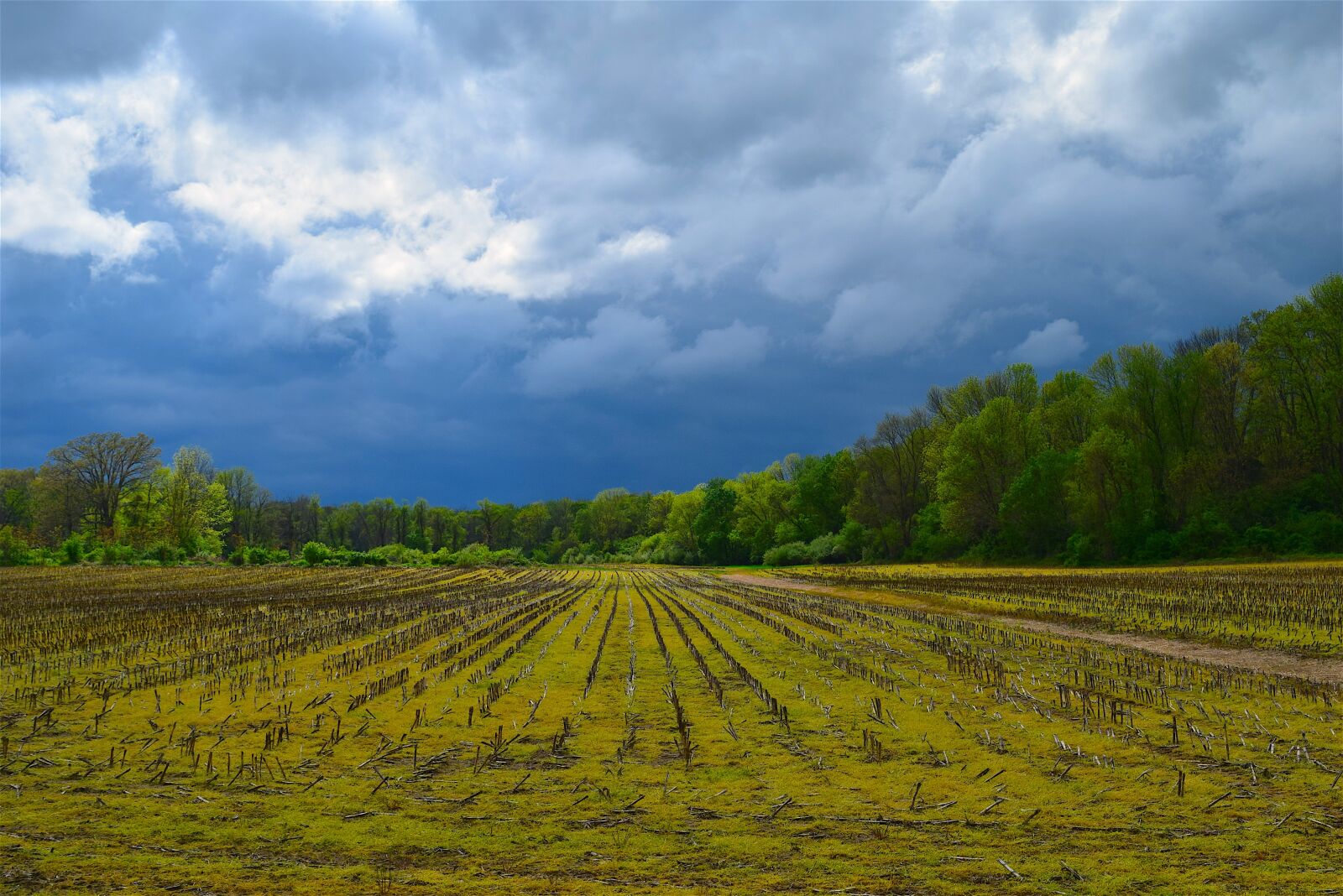 Nikon D3300 sample photo. Farm, clouds, nature photography