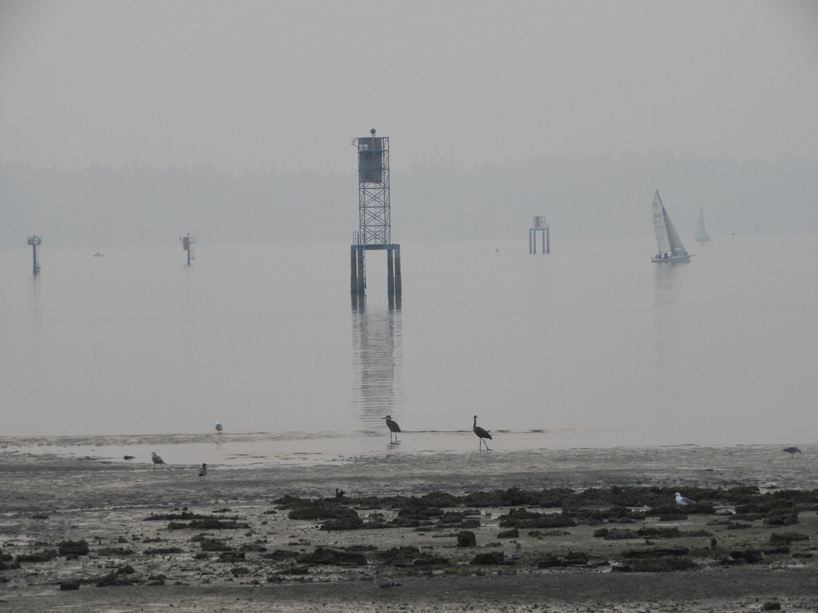 Nikon Coolpix B700 sample photo. Water, sailboat, tower photography