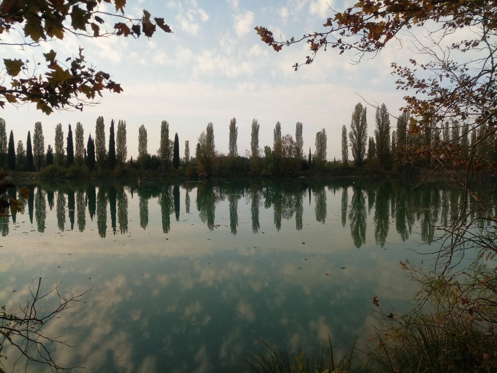 Meizu MX6 sample photo. River, poplars, trees photography