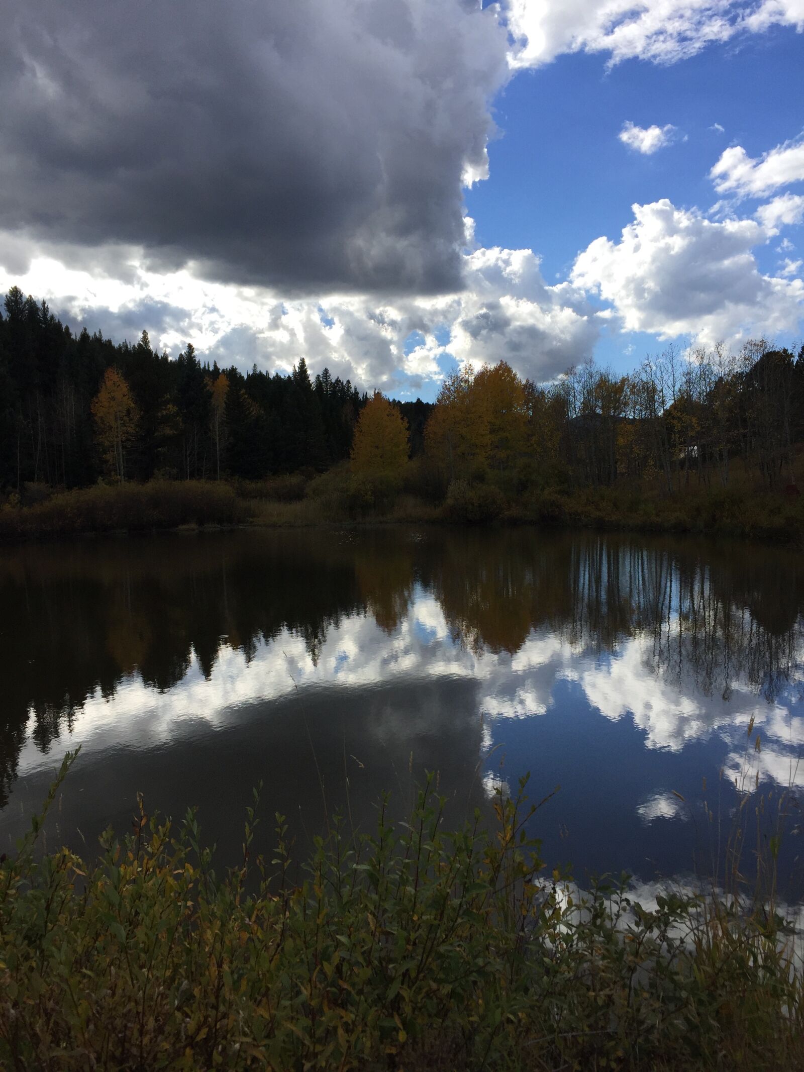 Apple iPhone 6 sample photo. Lake, nature, forest photography