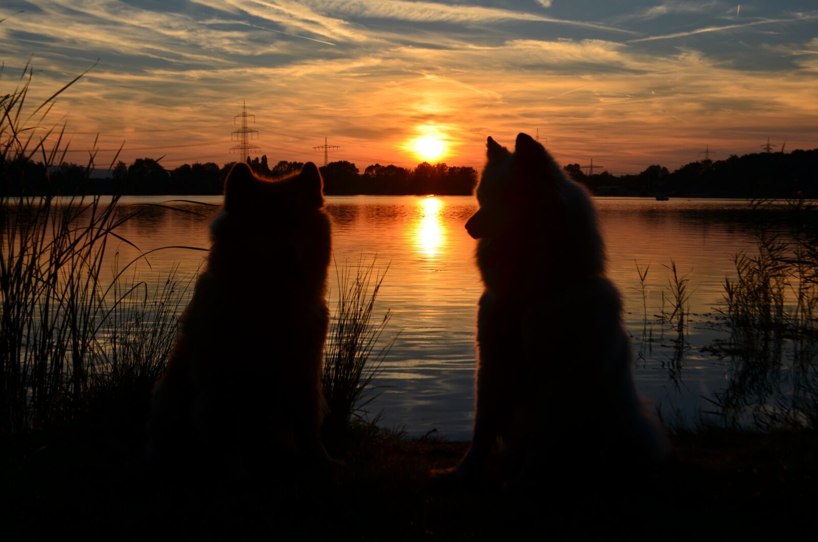 Nikon D5100 sample photo. Sunset, nature, lake photography