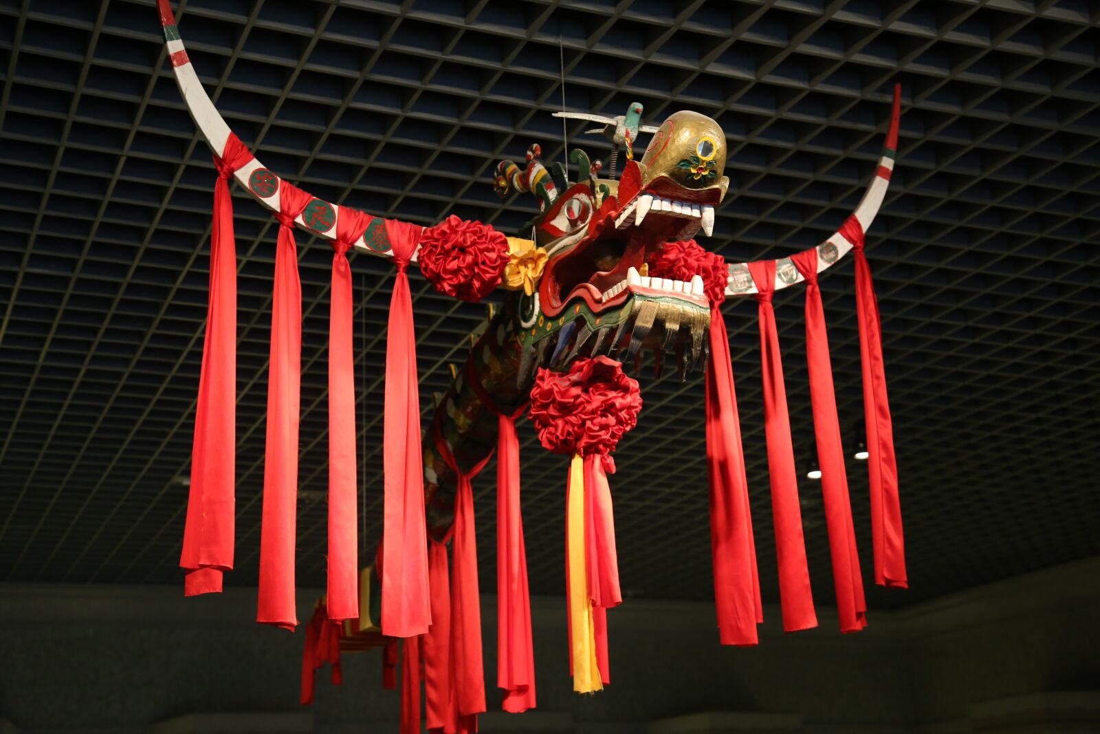Canon EOS 6D + Canon EF 24-105mm F4L IS USM sample photo. The chinese dragon, red photography