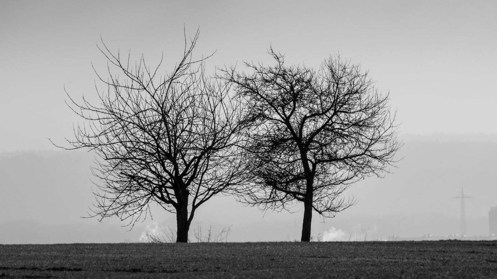 Canon EOS 1100D (EOS Rebel T3 / EOS Kiss X50) sample photo. Black and white, trees photography